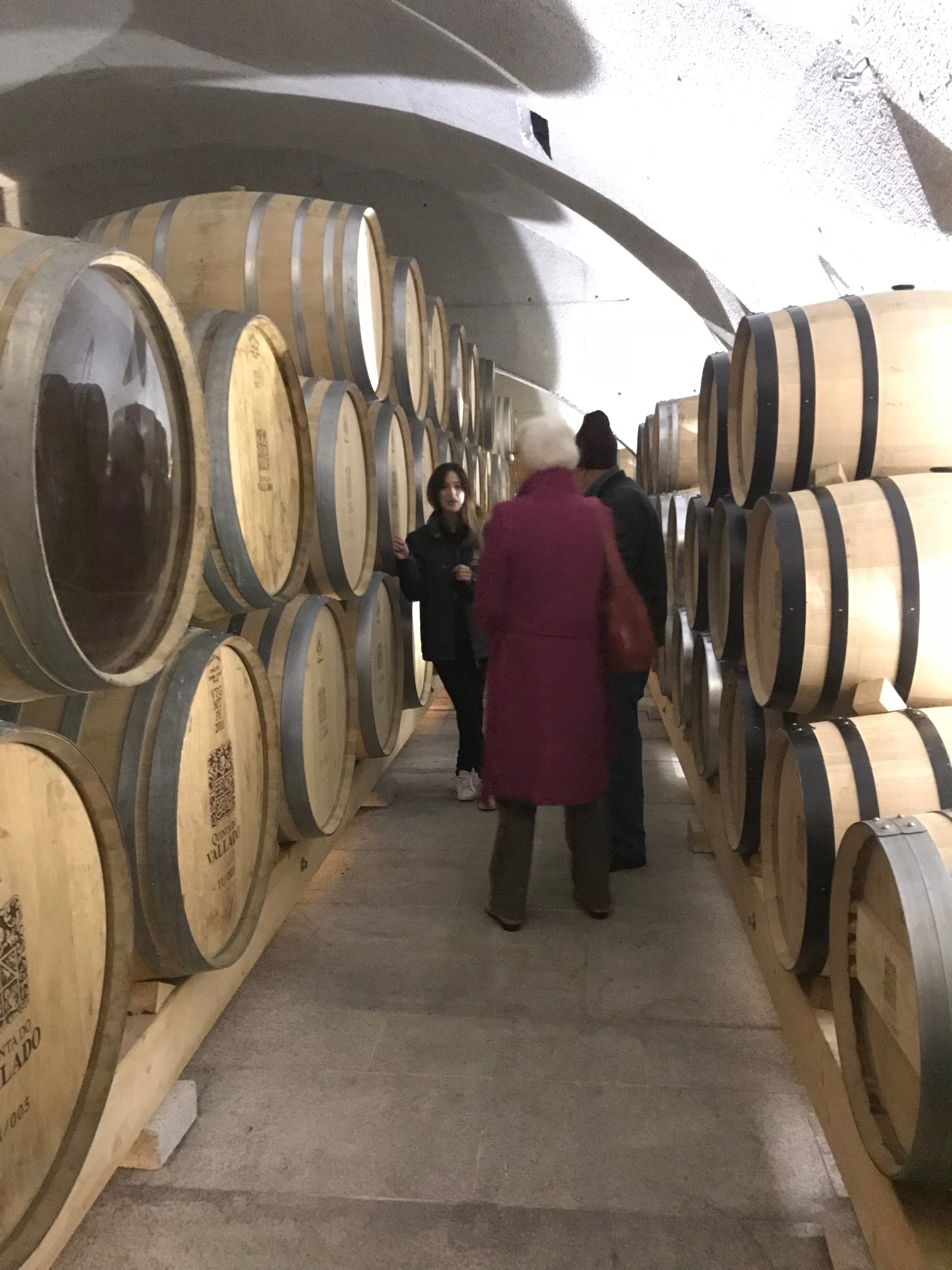 Private Douro Valley Day Tour from Porto with River Cruise & Wine Tasting