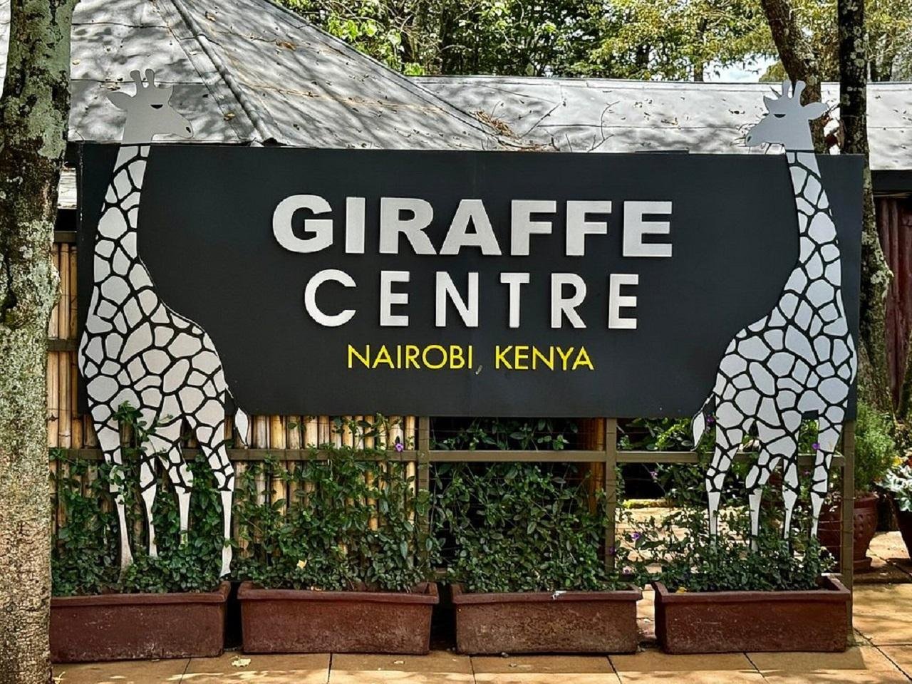 Nairobi Highlights: Karen Blixen Museum, Giraffe Center & Kobe Beads