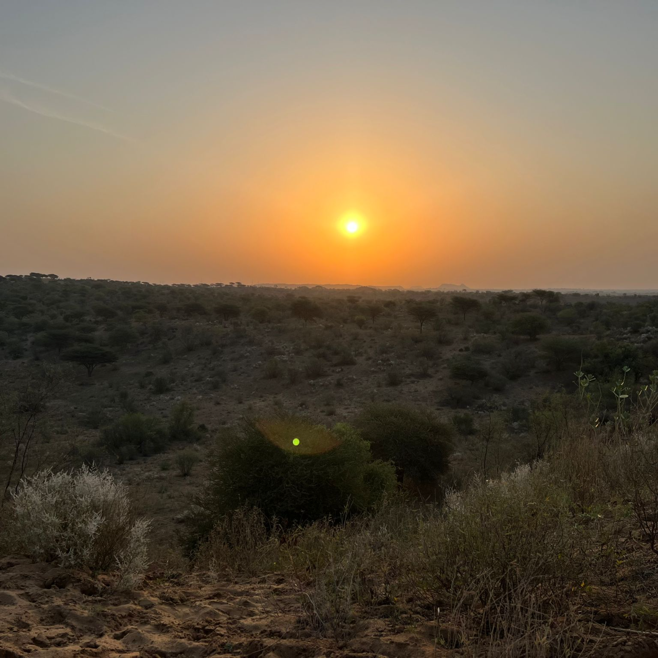 Thar Desert Overnight Camel Safari & Village Stay