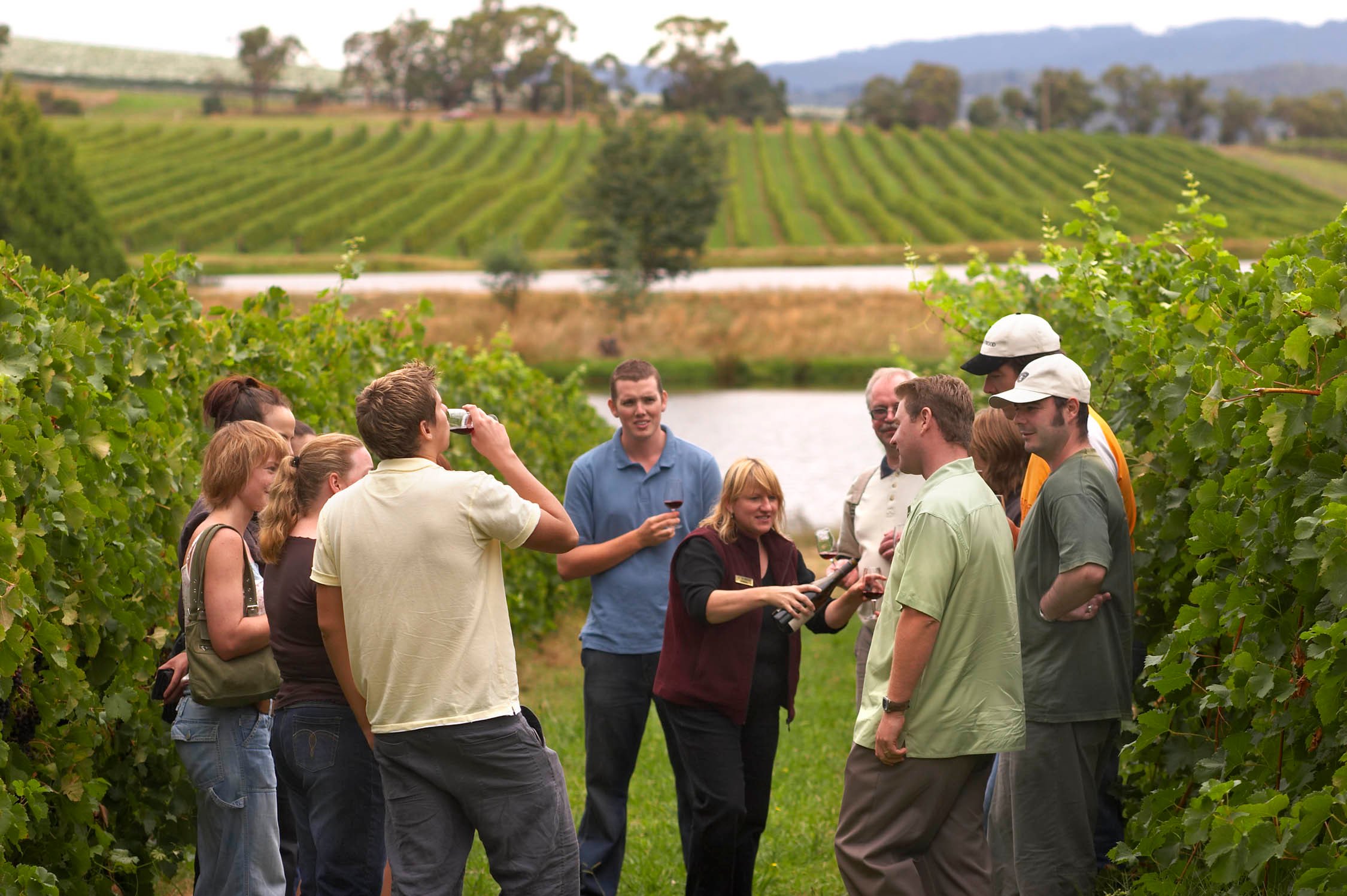 Rioja Wine Region Day Trip with Winery Visit & Lunch
