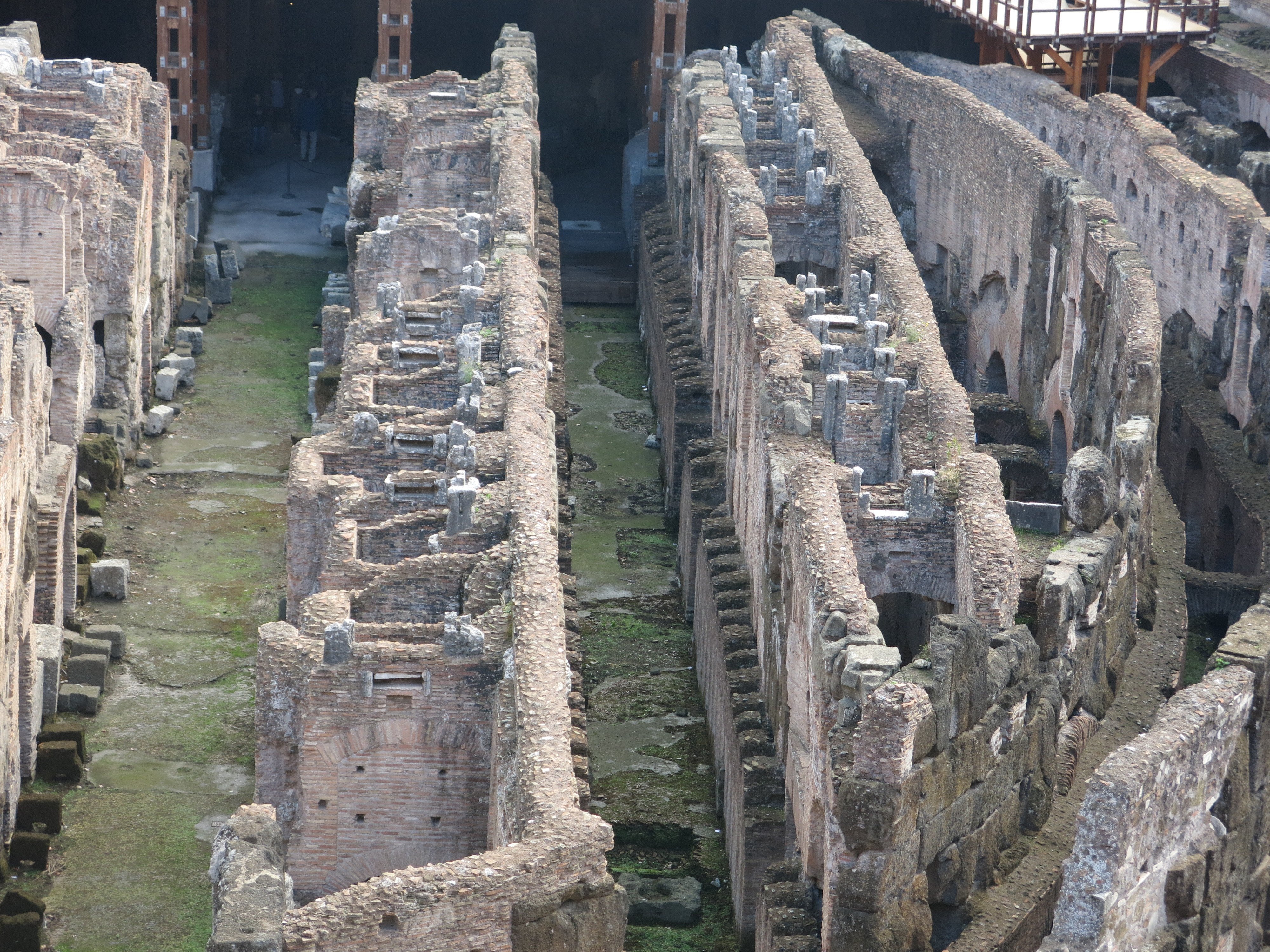 Rome Colosseum Arena Floor, Roman Forum & Palatine Hill Tour