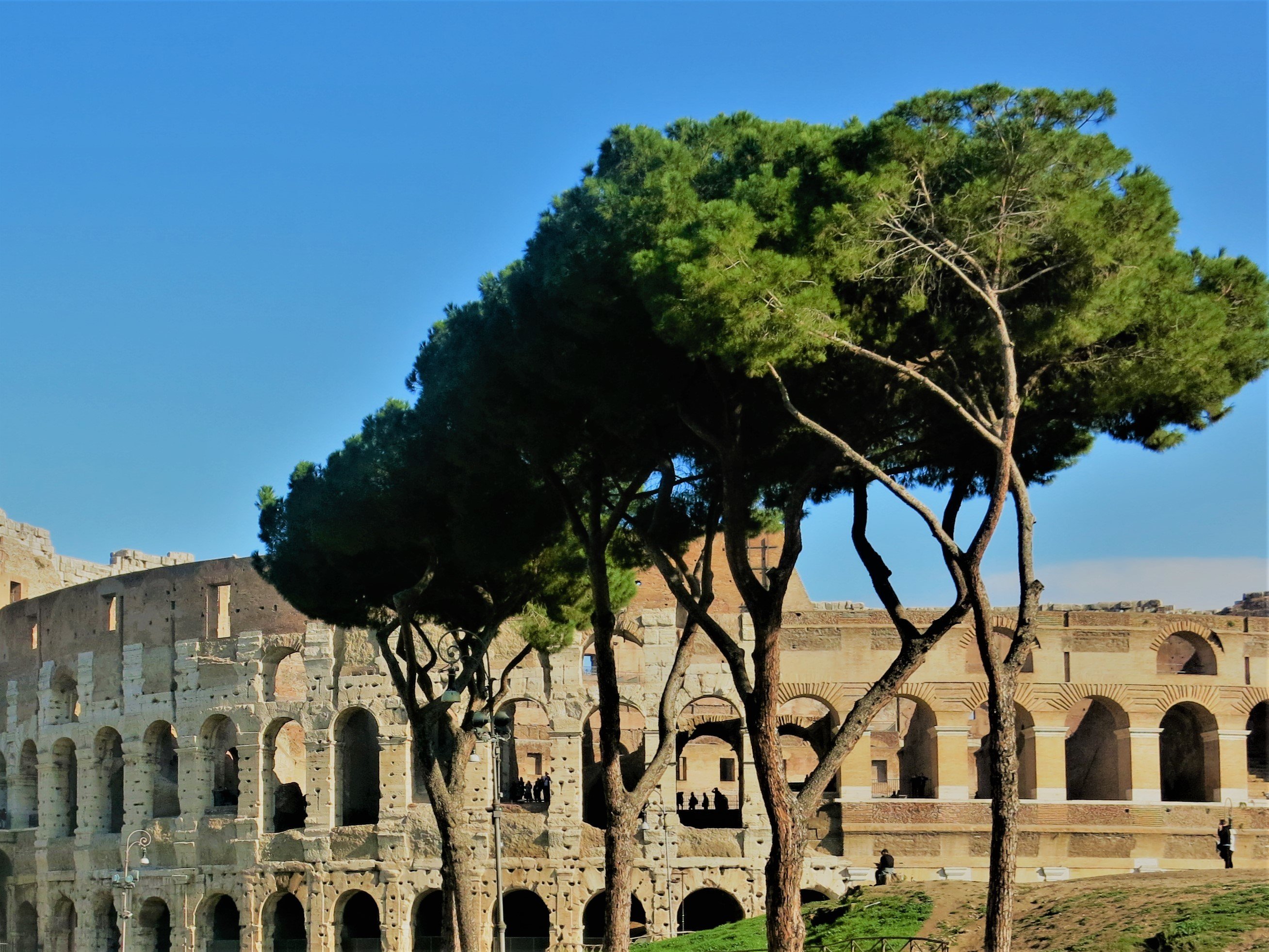 Rome Colosseum Arena Floor, Roman Forum & Palatine Hill Tour