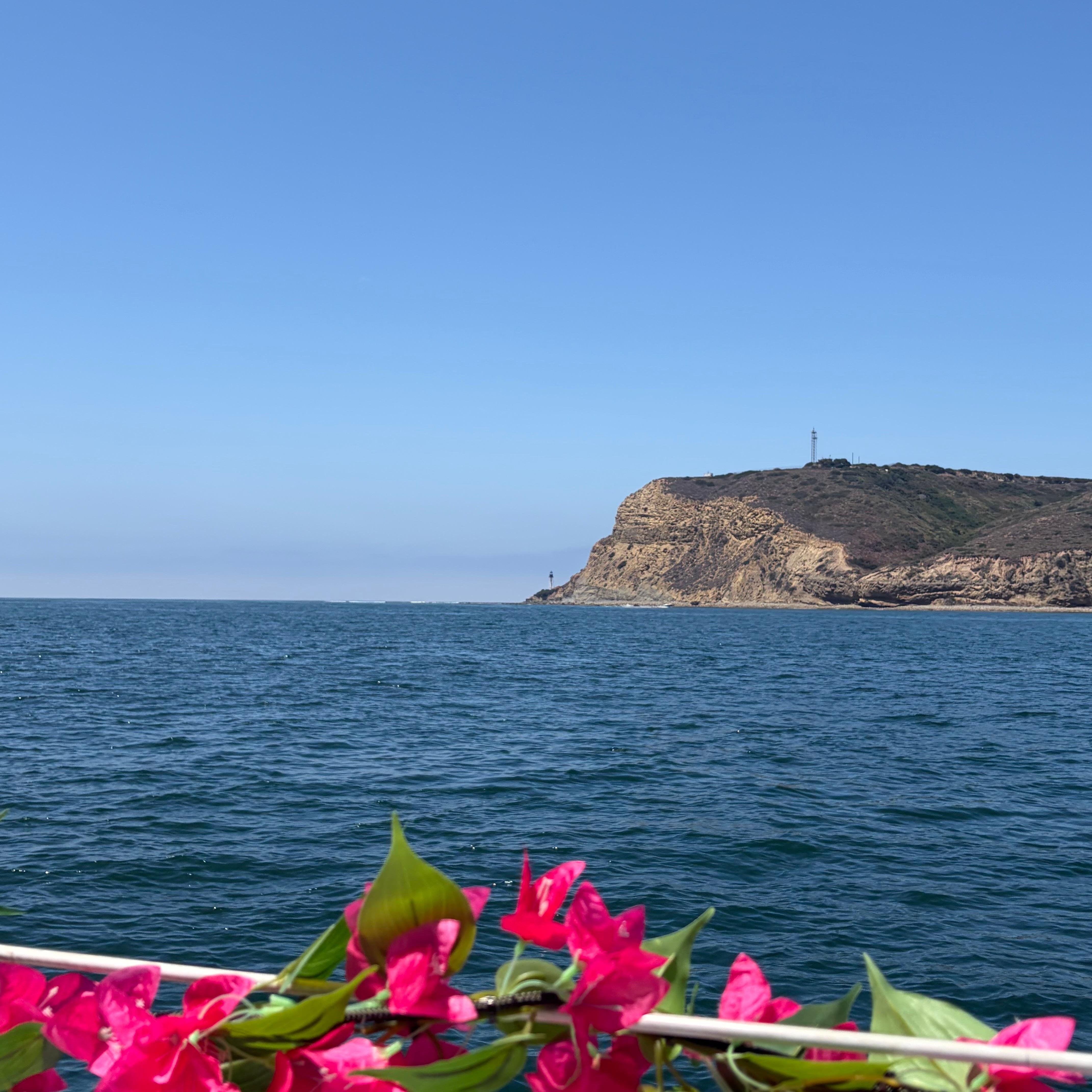 San Diego: Private Morning Sail up to 12 guests