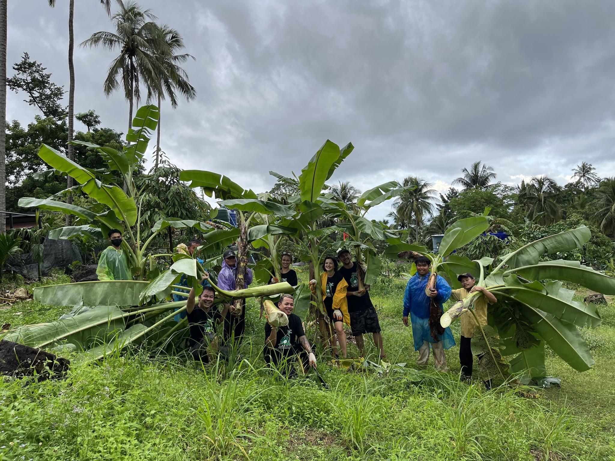 Samui Ethical Elephant Sanctuary Half-Day Experience
