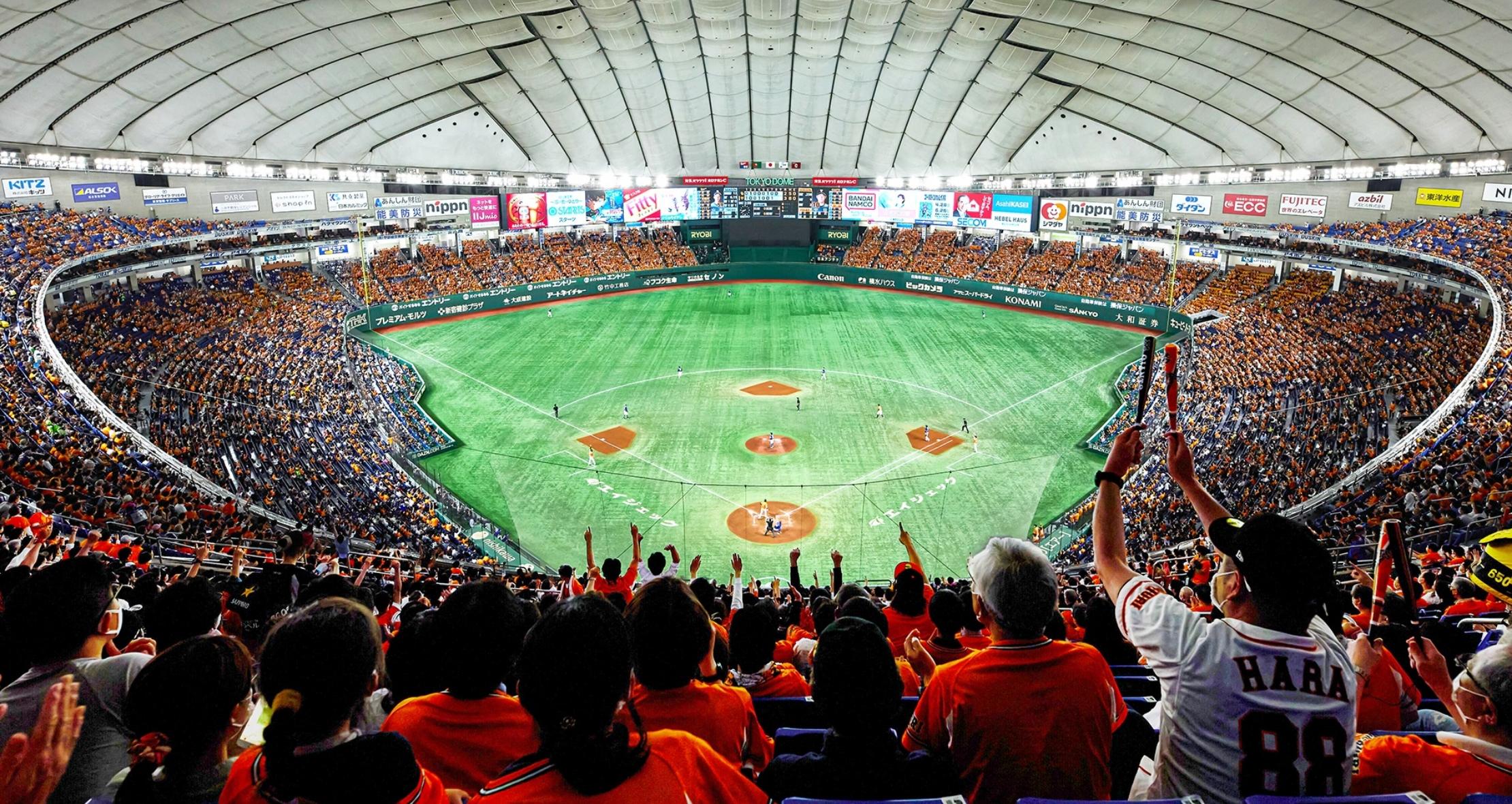 Tokyo Baseball Night with Local Fan