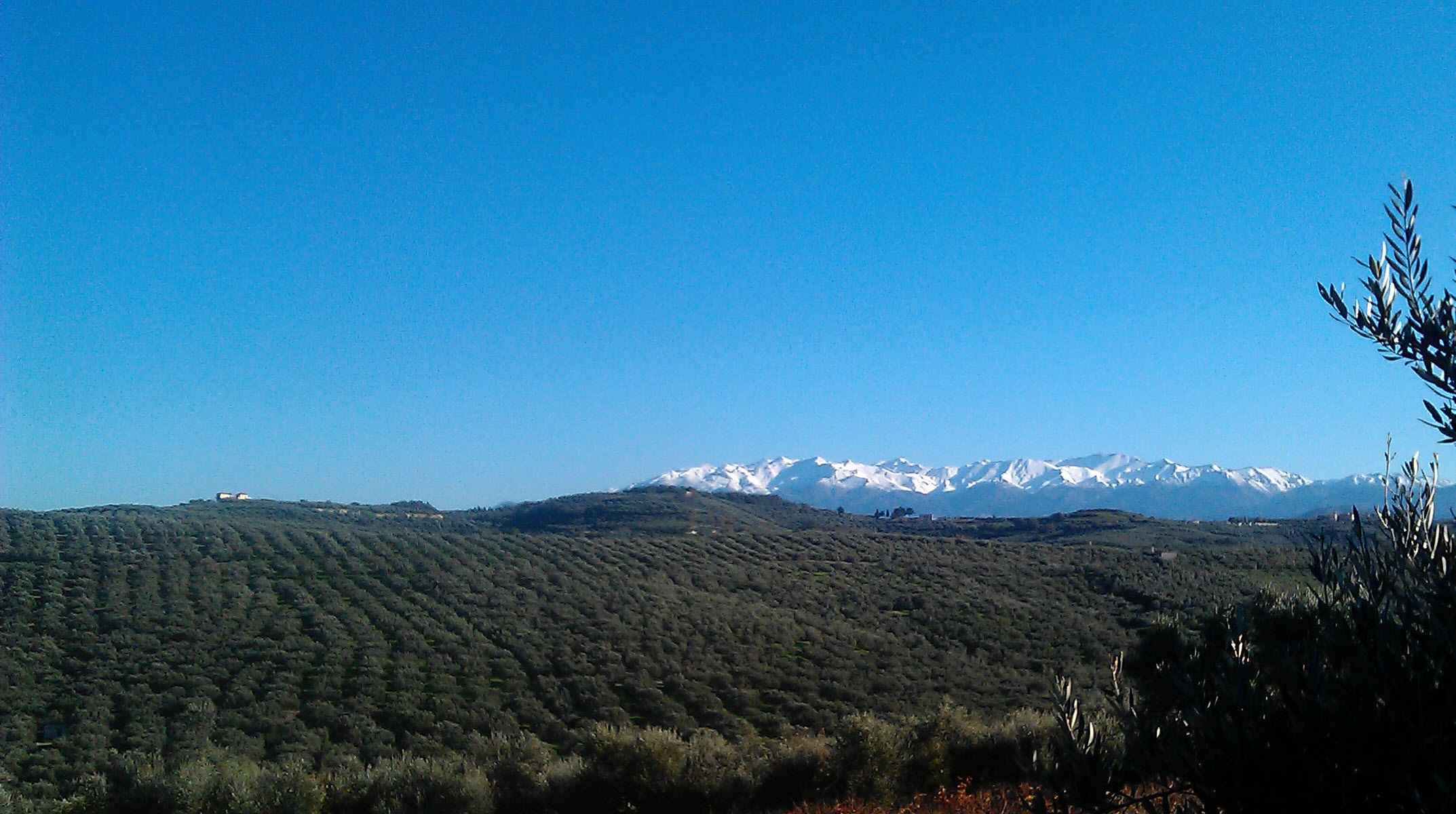 olive oil tasting in Crete — photo 2