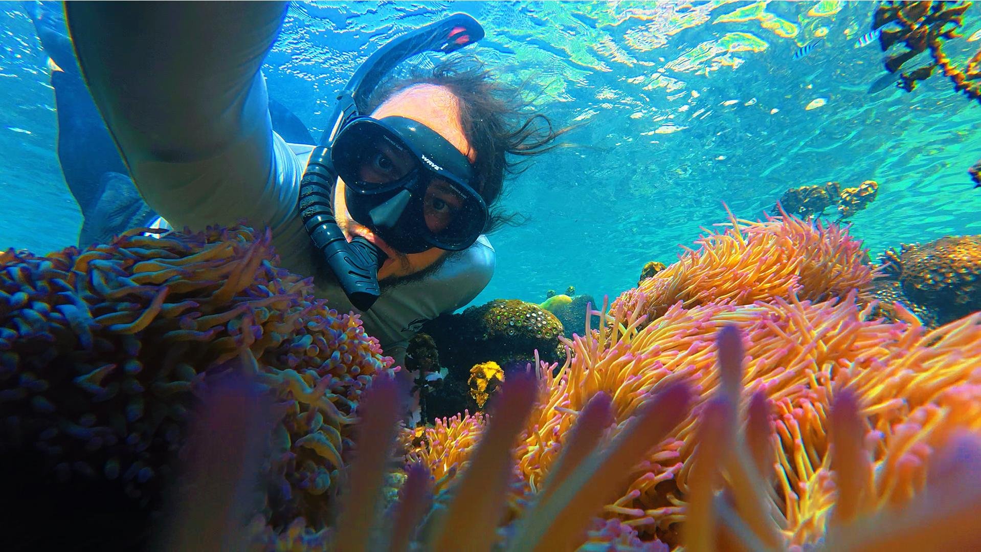 Private Reef Snorkeling by Speedboat