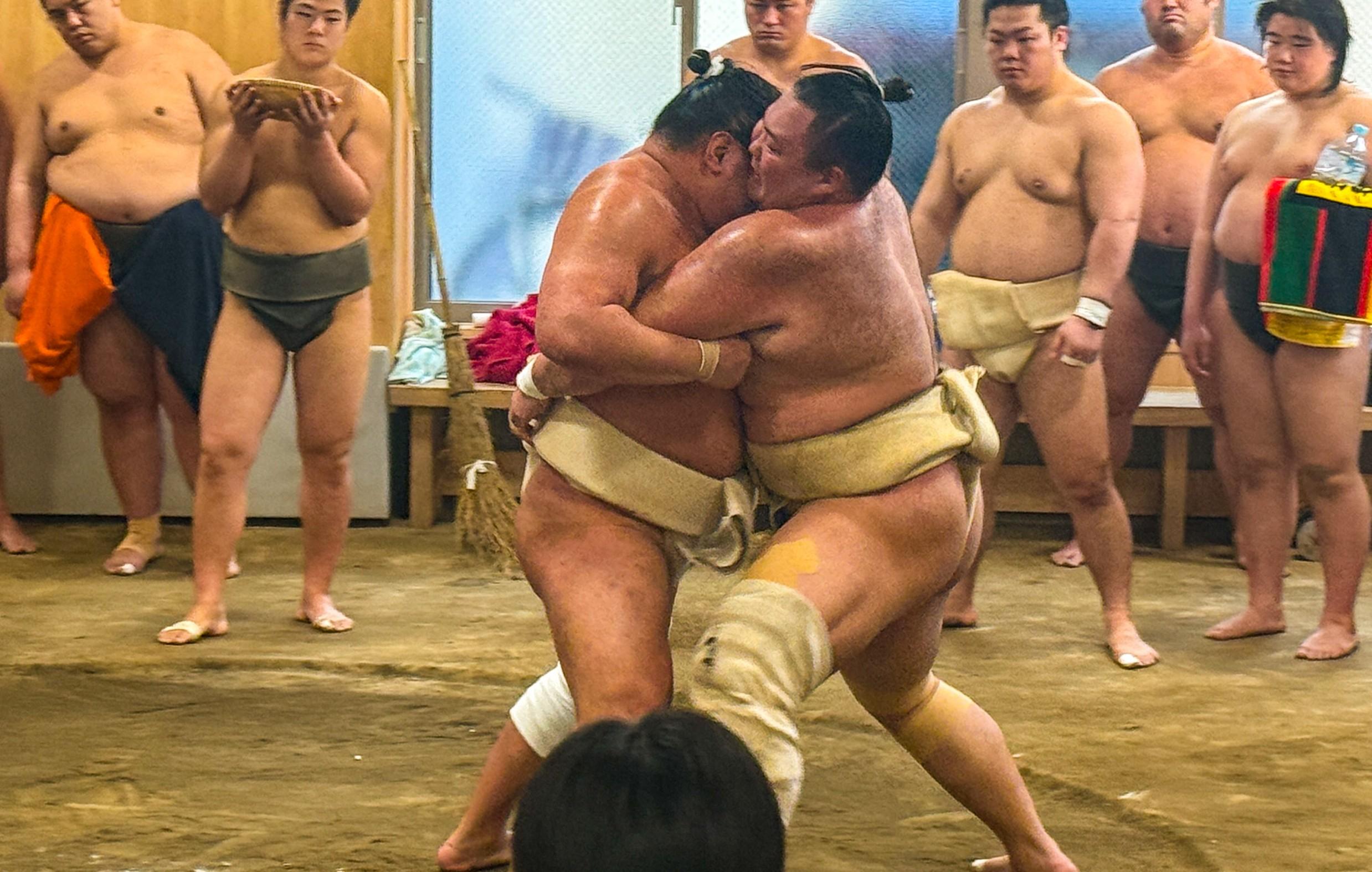 Tokyo: Sumo Morning Practice with journalists. Not fake show - 2026 (Verified Reviews)