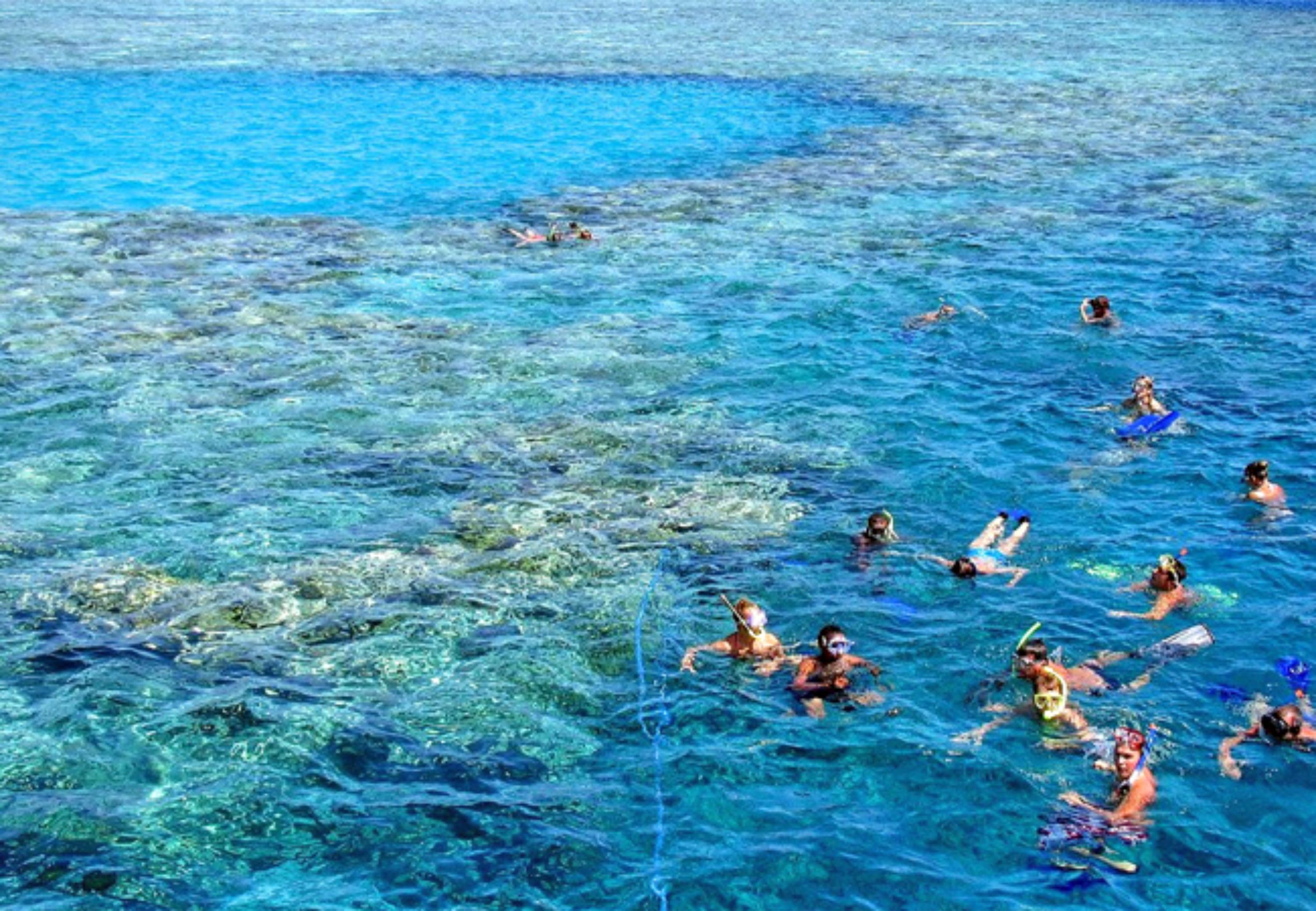 Tiran Island Snorkel & Dive Cruise from Sharm El-Sheikh with Buffet Lunch