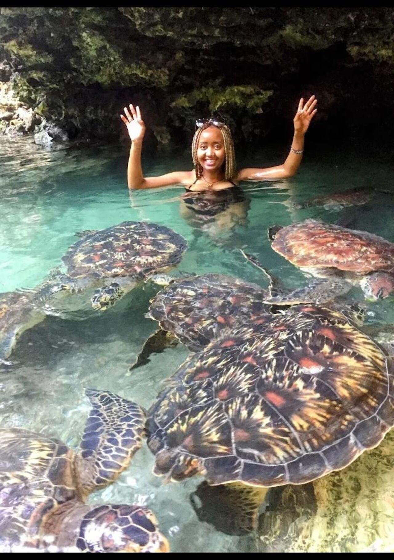 Nungwi Lagoon Sea Turtle Swim, Zanzibar