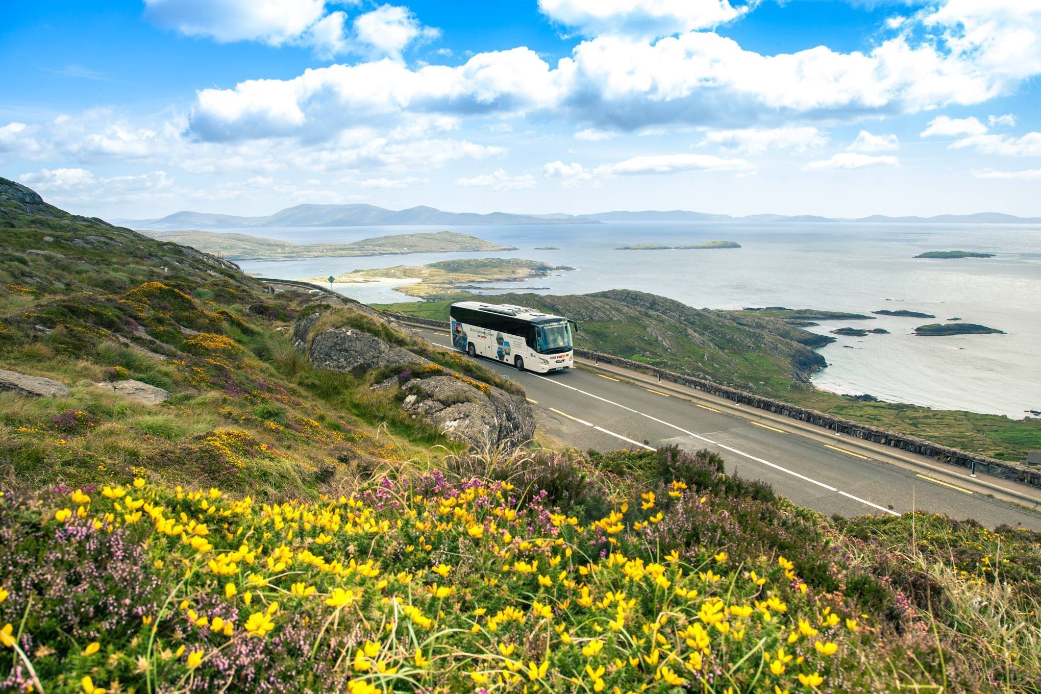 Killarney: Ring of Kerry Bus Tour - 2026 (Verified Reviews)