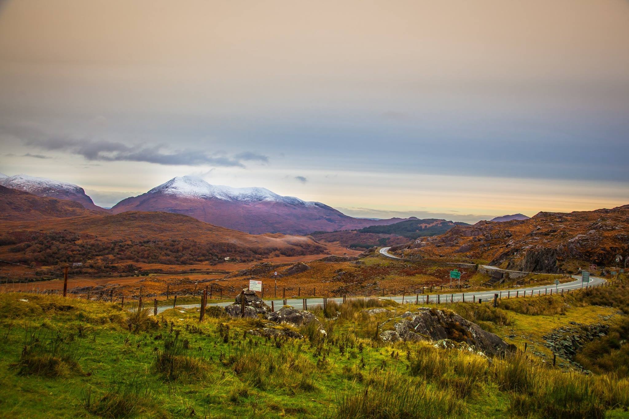 Killarney: Ring of Kerry Bus Tour - 2026 (Verified Reviews)