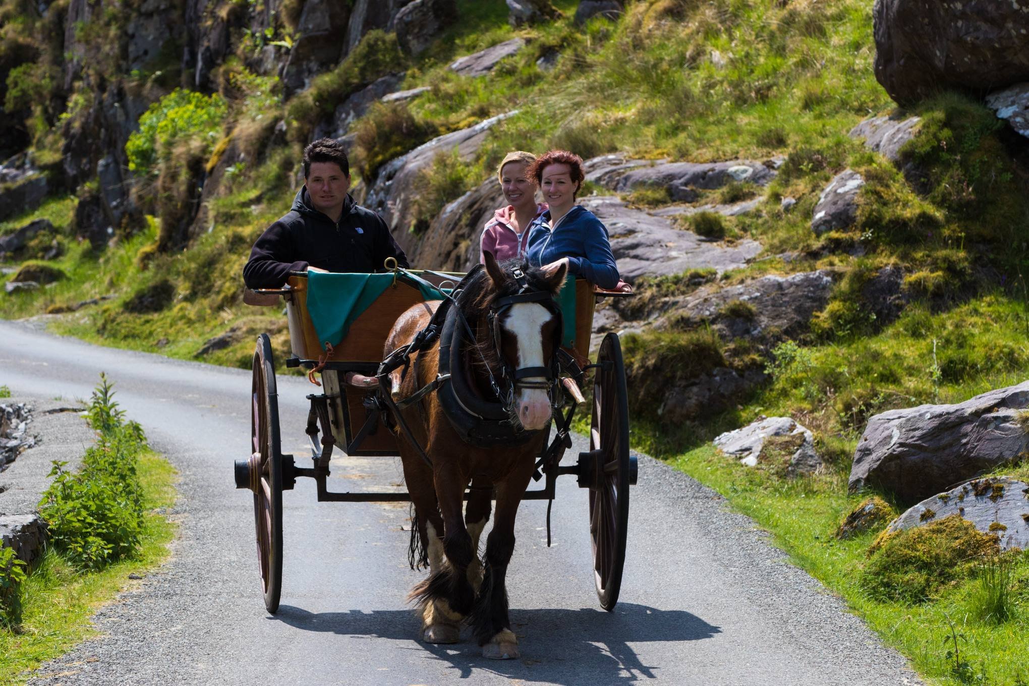 Gap of Dunloe & Lakes of Killarney Boat Tour