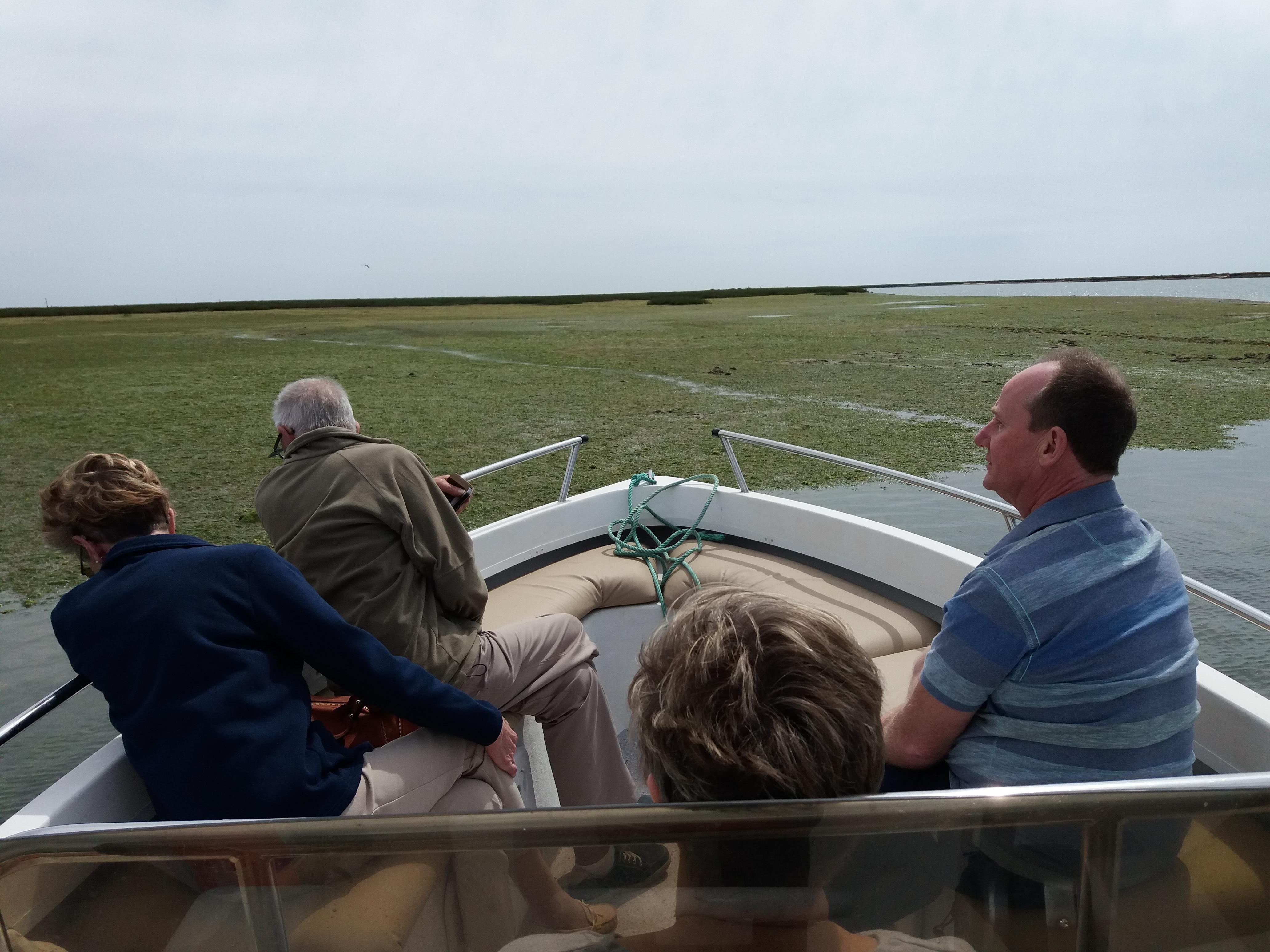 Faro: Ria Formosa Boat Tour