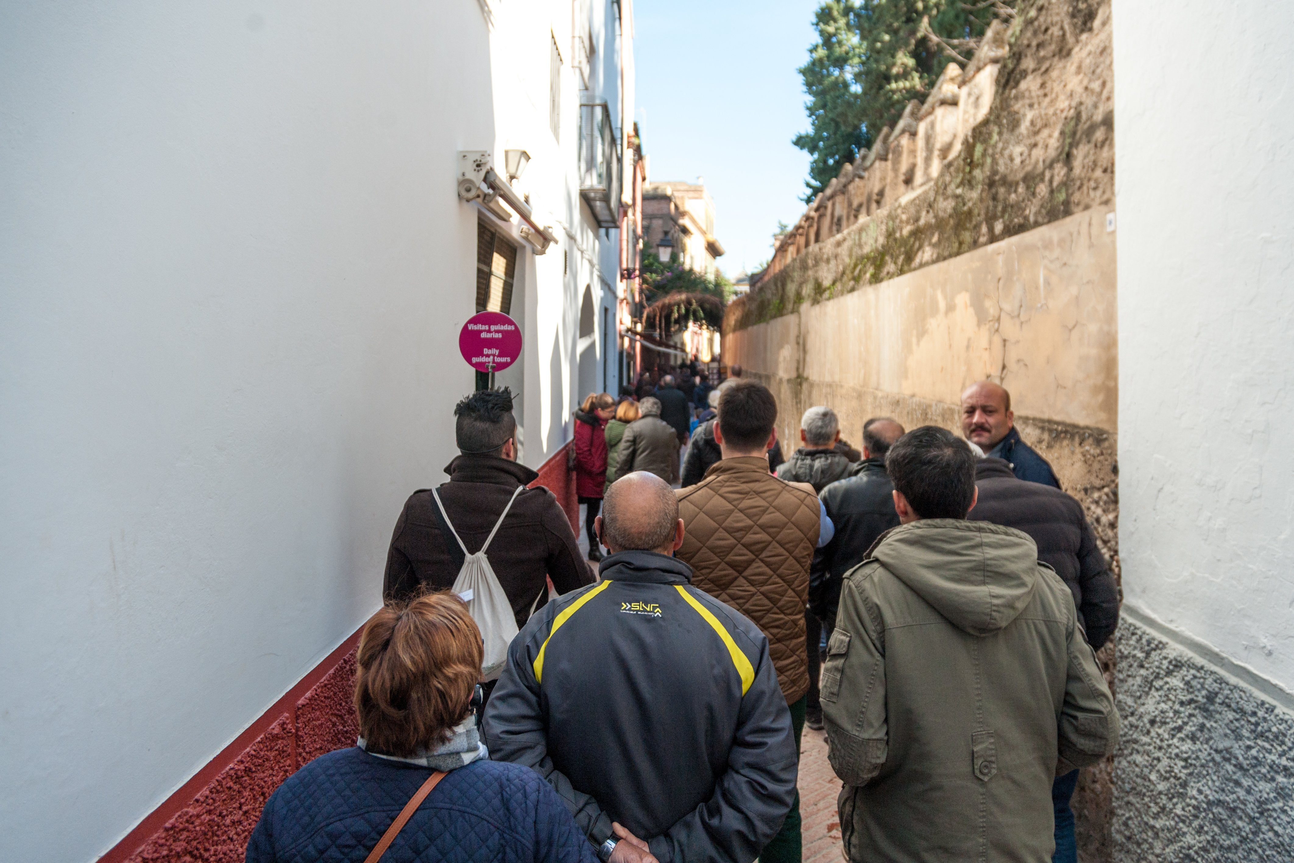 Seville: Guided Alcázar and Cathedral Tour