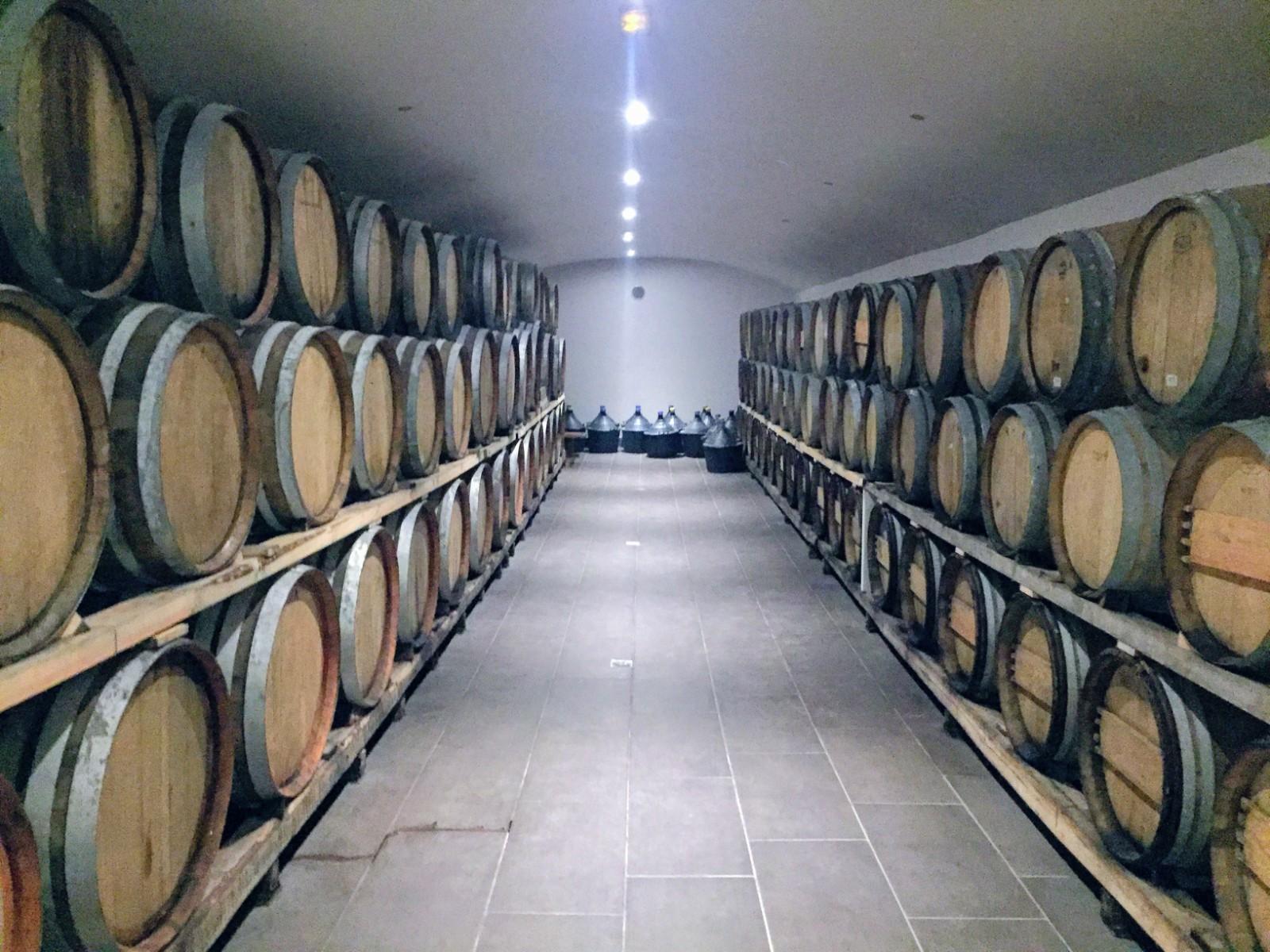 wine tour in Santorini — photo 16