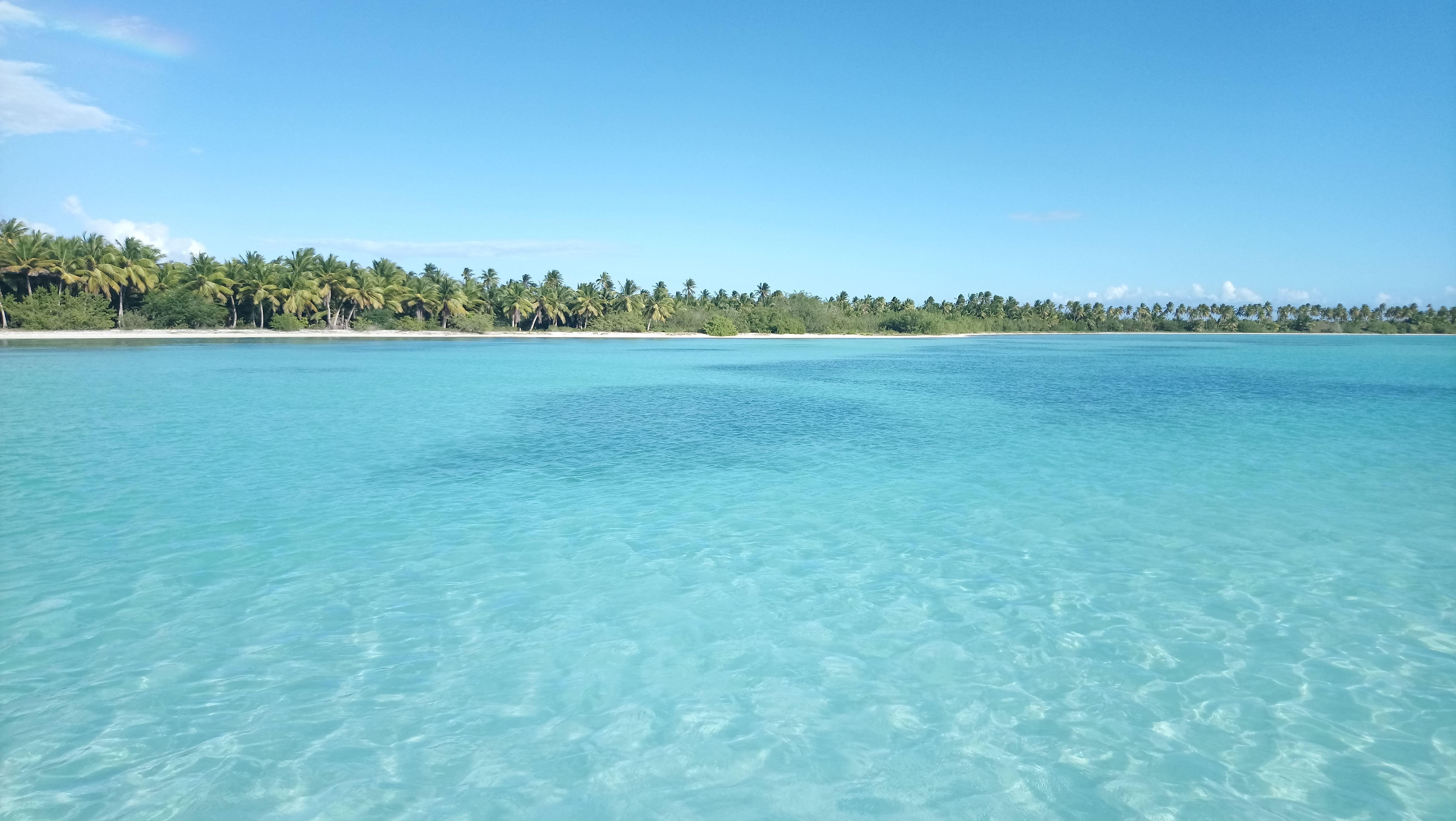 Saona Island Small-Group Escape with Lunch & Natural Pool