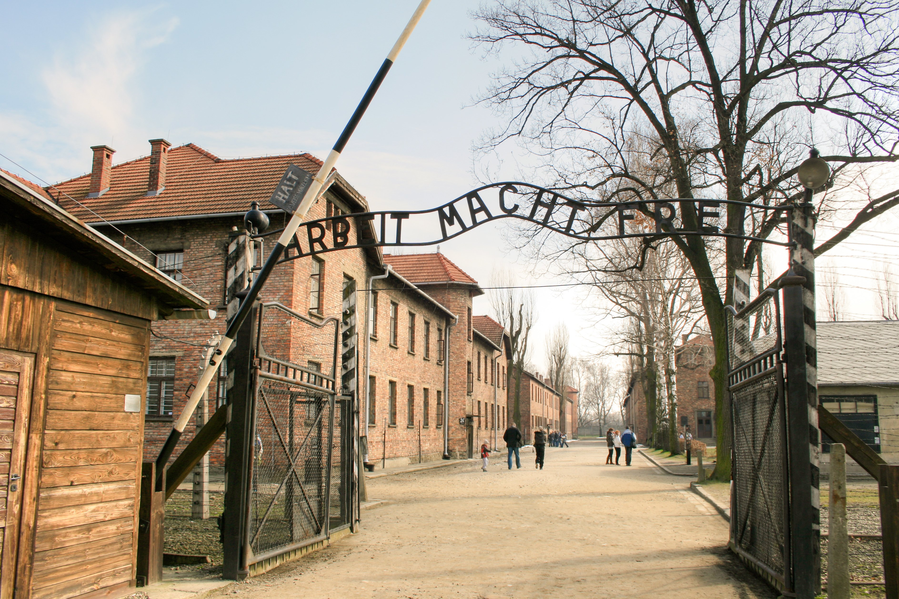 Wycieczka z przewodnikiem do Miejsca Pamięci Auschwitz-Birkenau i transfer z Krakowa