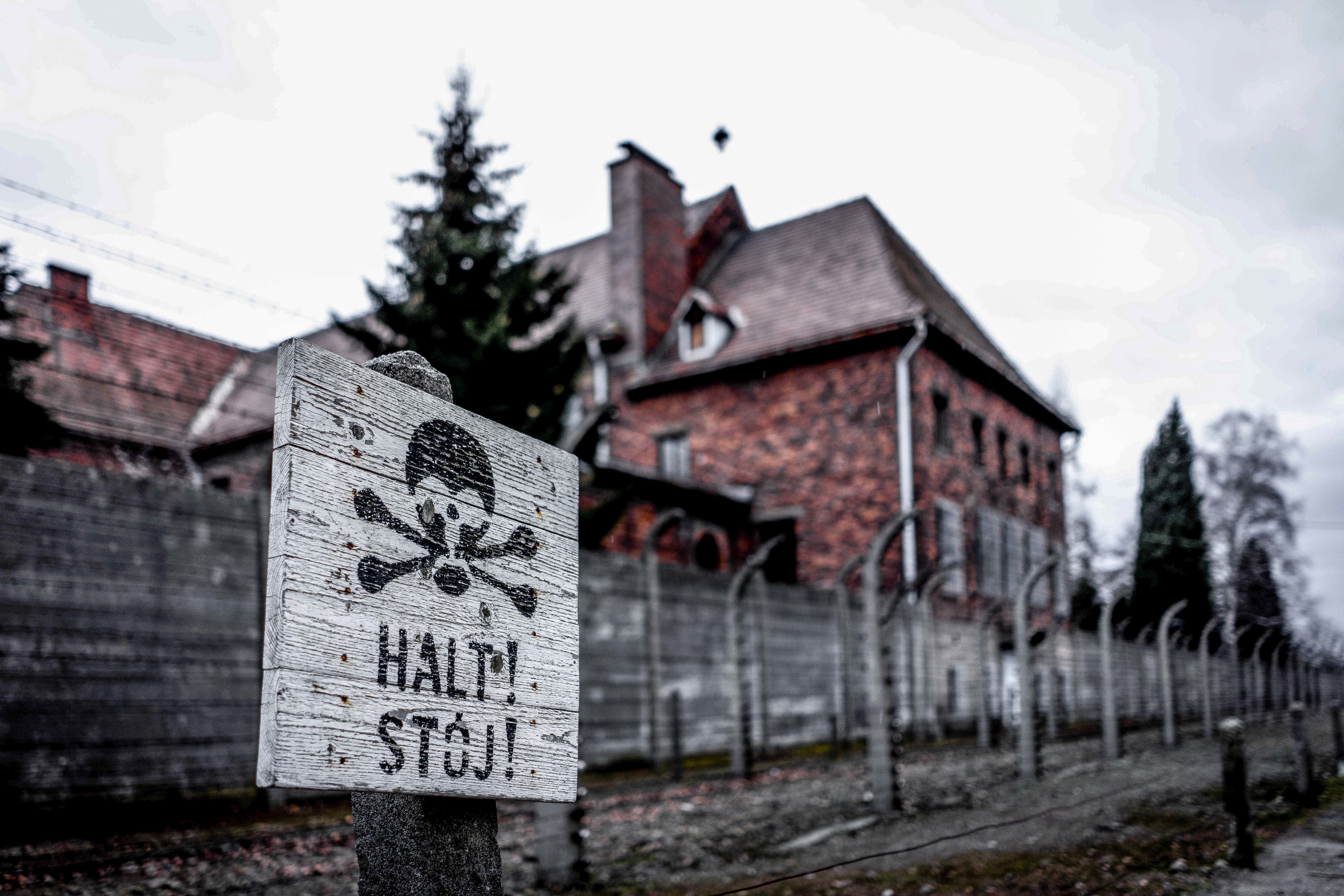 Wycieczka z przewodnikiem do Miejsca Pamięci Auschwitz-Birkenau i transfer z Krakowa
