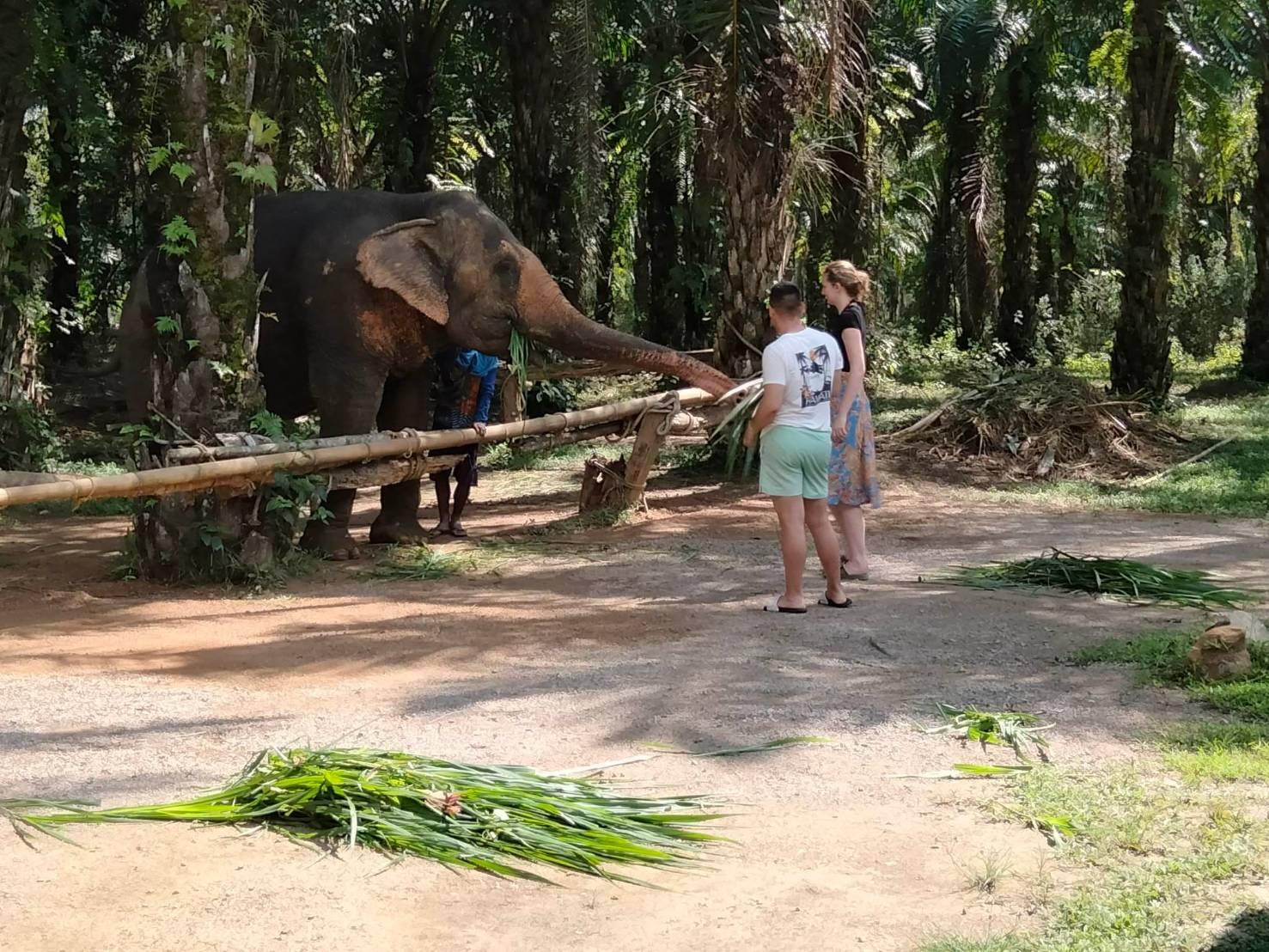 Krabi Nature & Elephant Sanctuary Experience