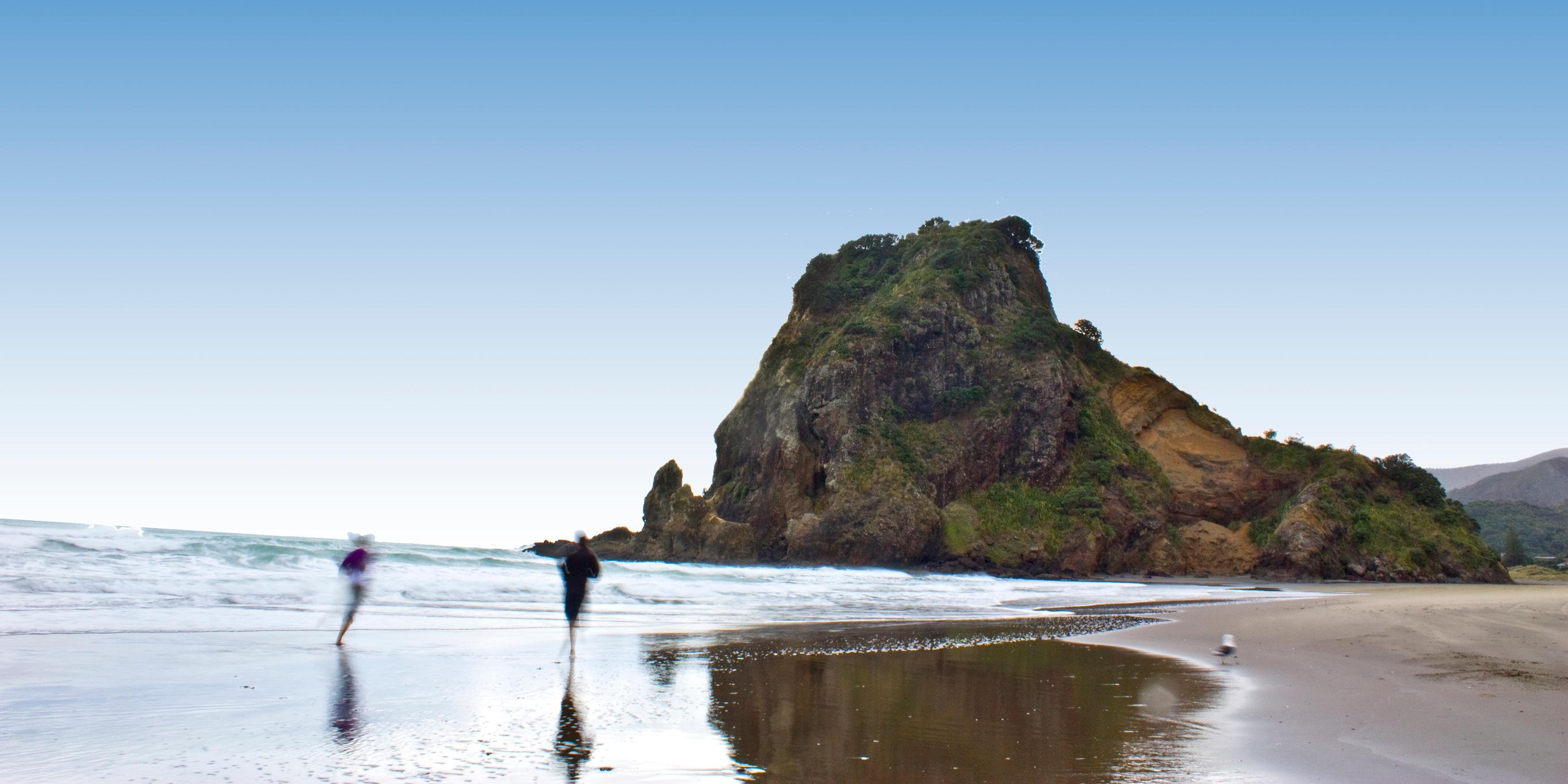 Piha Beach & Rainforest Half-Day Tour