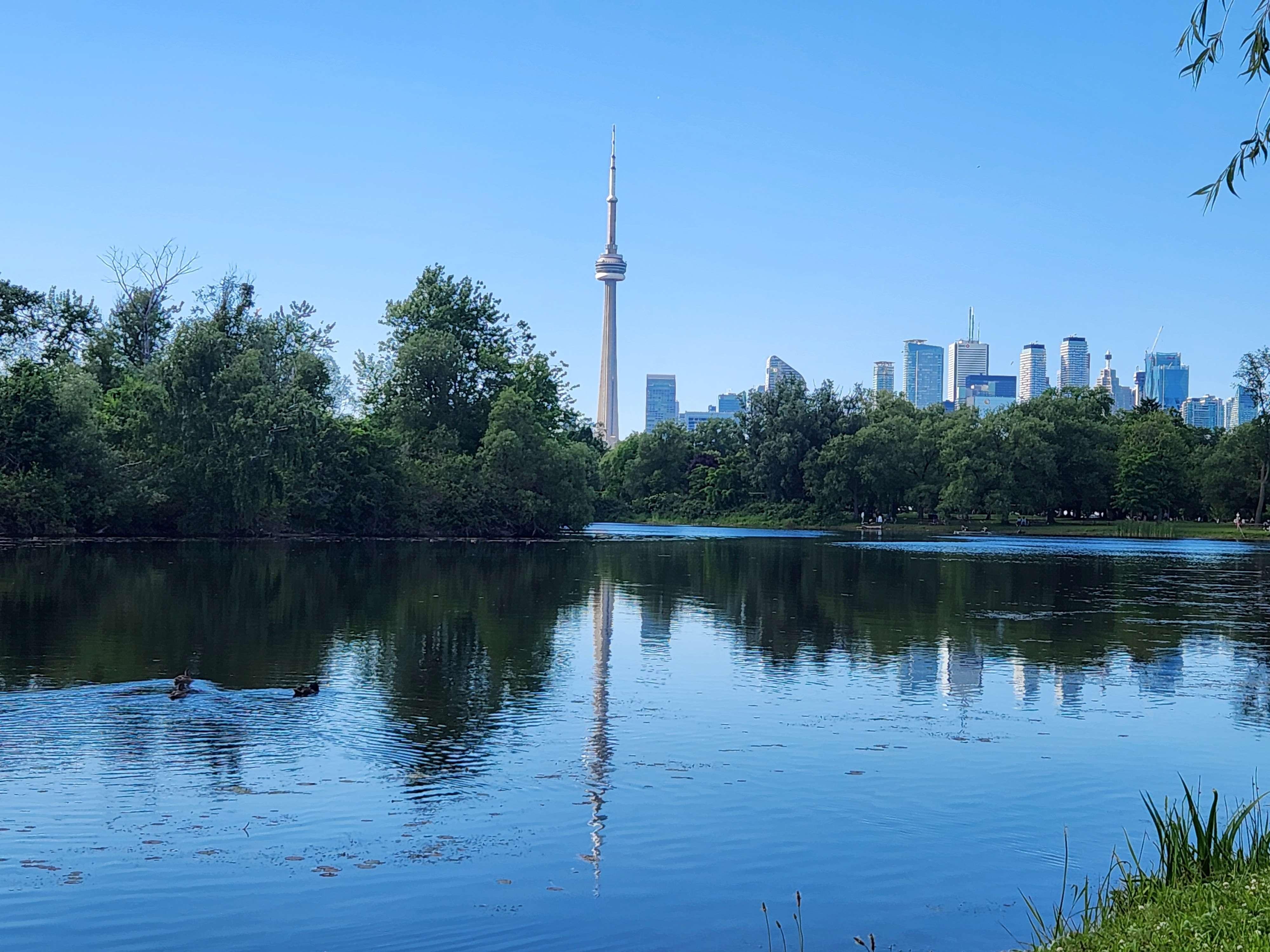 Private Harbourfront & Toronto Islands Walking Tour