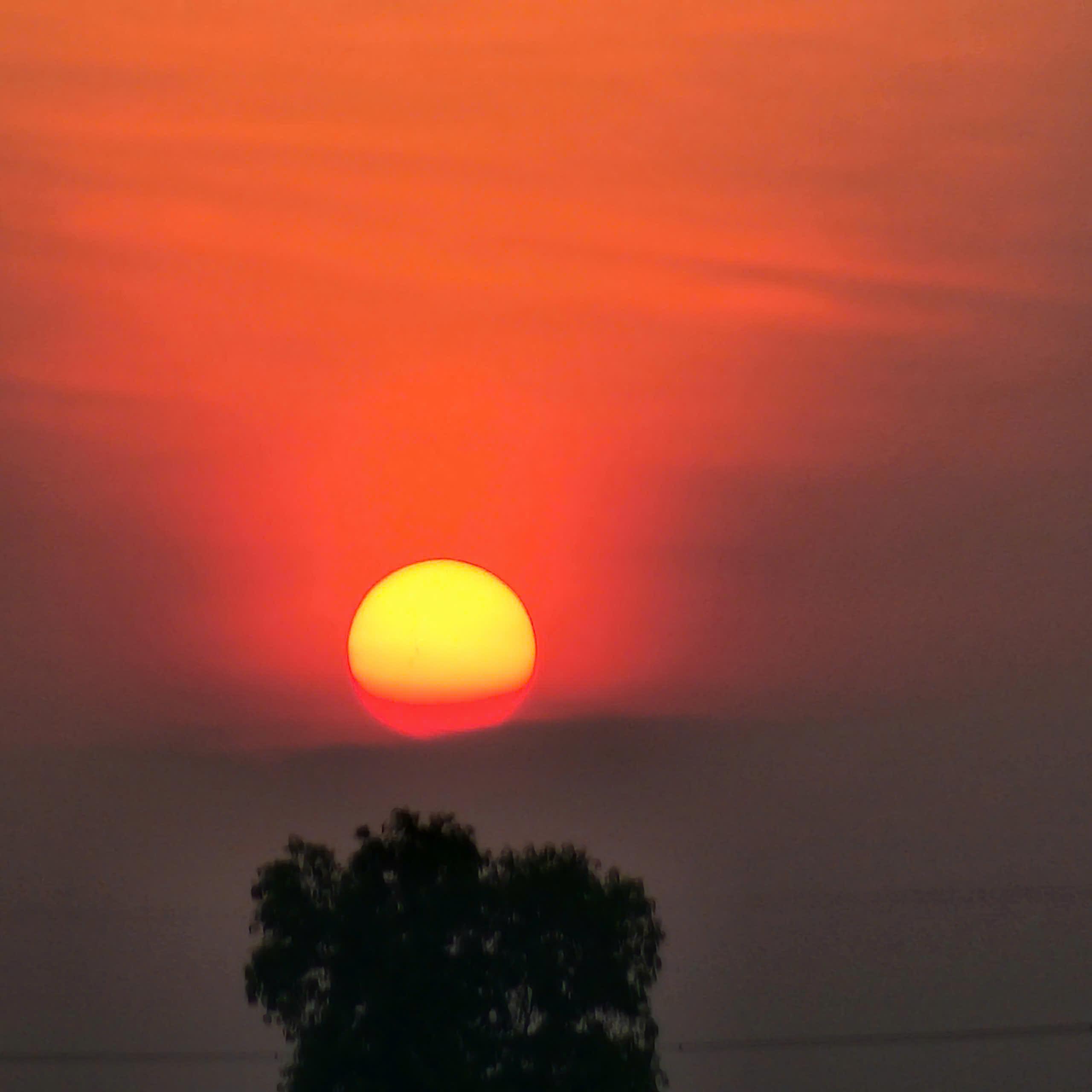 Mekong Delta 2-Day Bike, Kayak & Homestay Adventure from Ho Chi Minh City