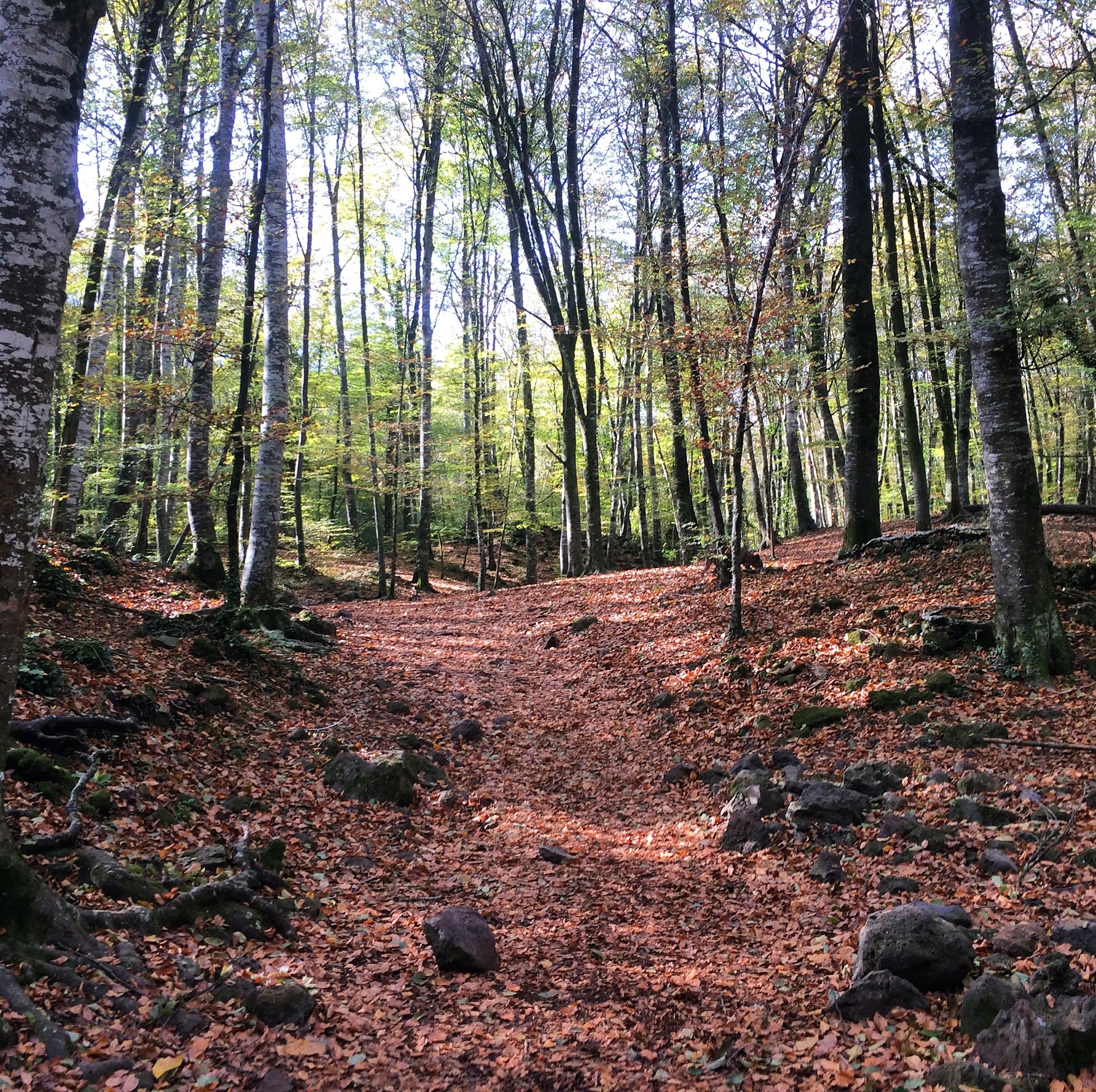 Medieval Catalonia & Volcanic Hiking Day Trip