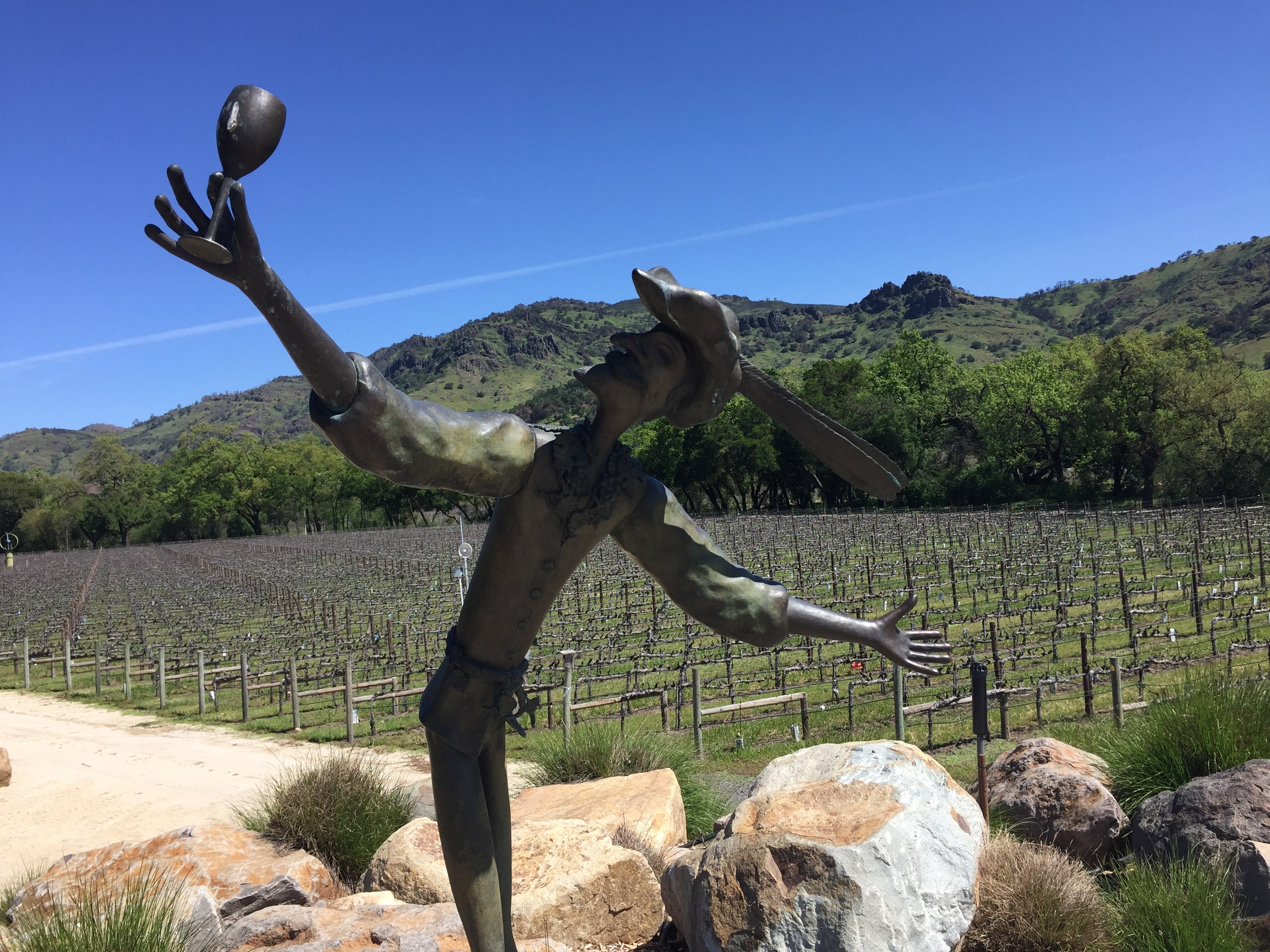 Napa Valley wine tour for couples — vineyards and tasting rooms — image 7