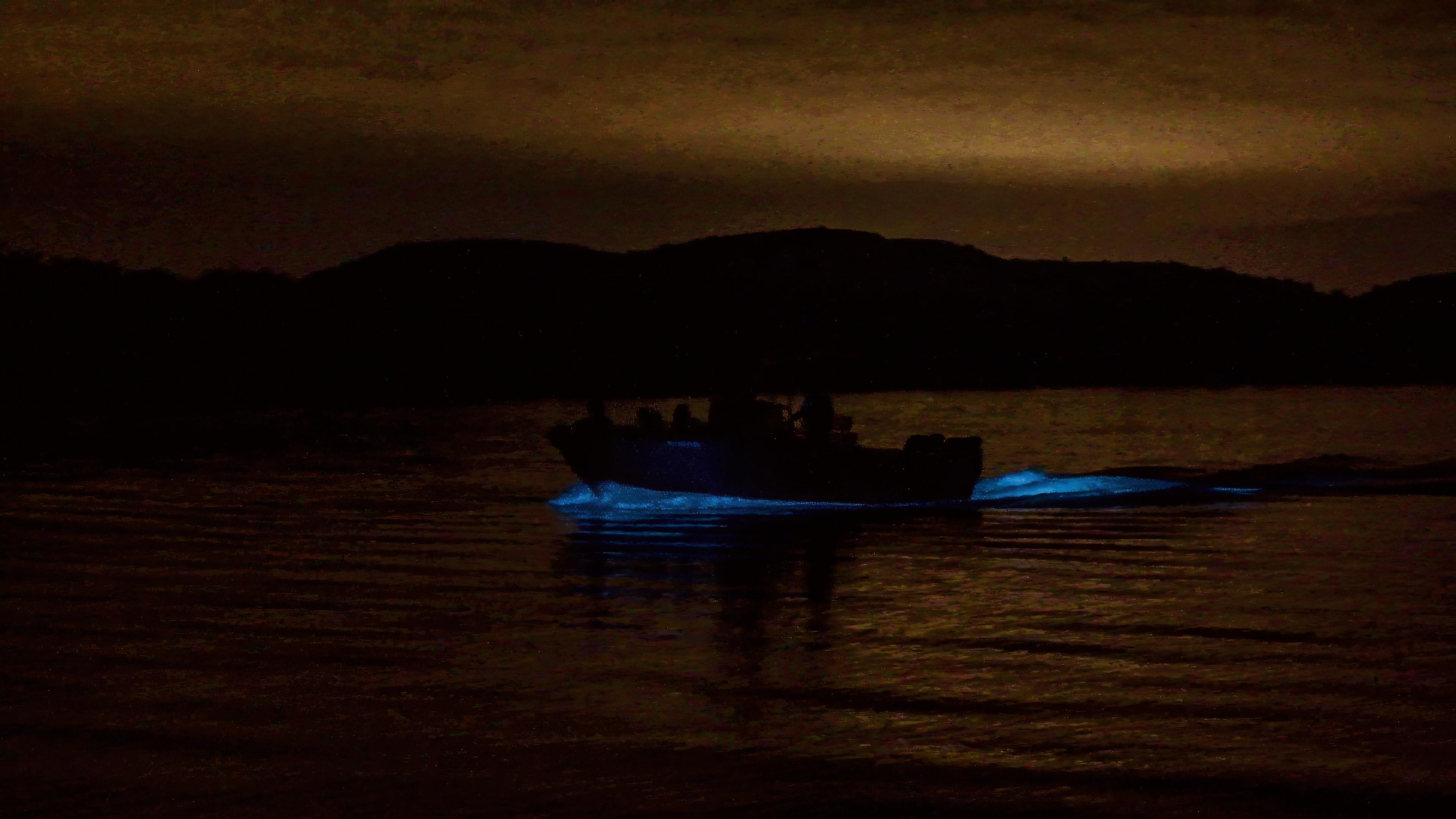Coamo Springs, Street Art, Beach & Bioluminescent Bay Full-Day Adventure