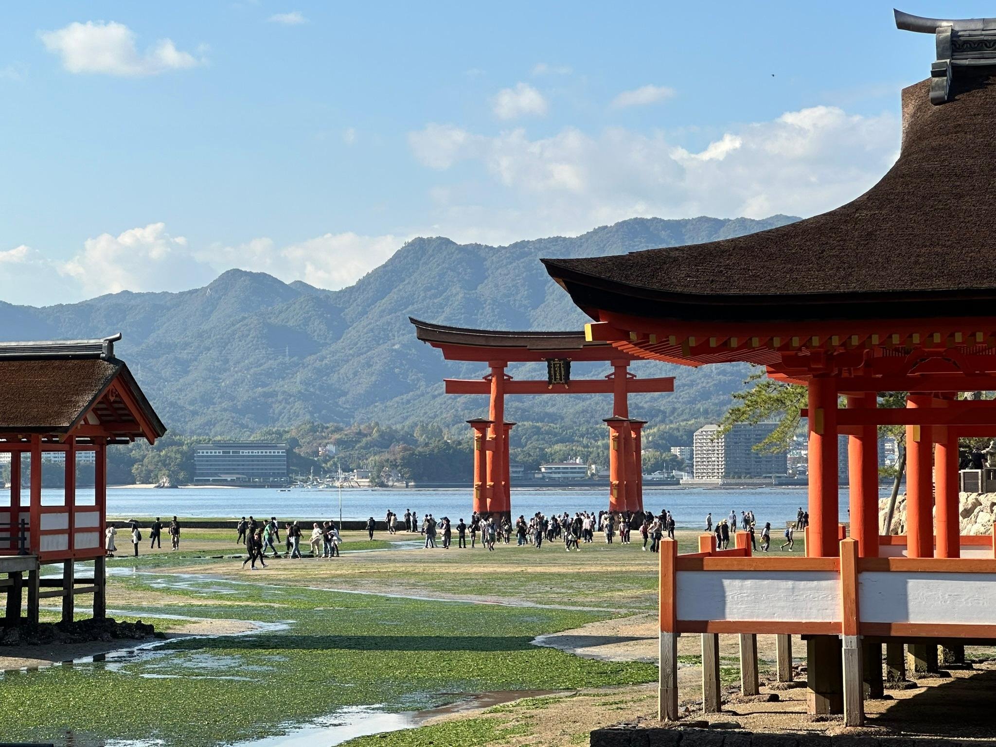 Osaka experience, image 65