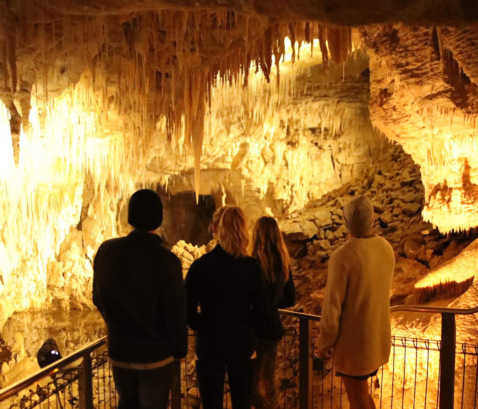 Auckland to Waitomo Caves & Rotorua Geothermal Tour