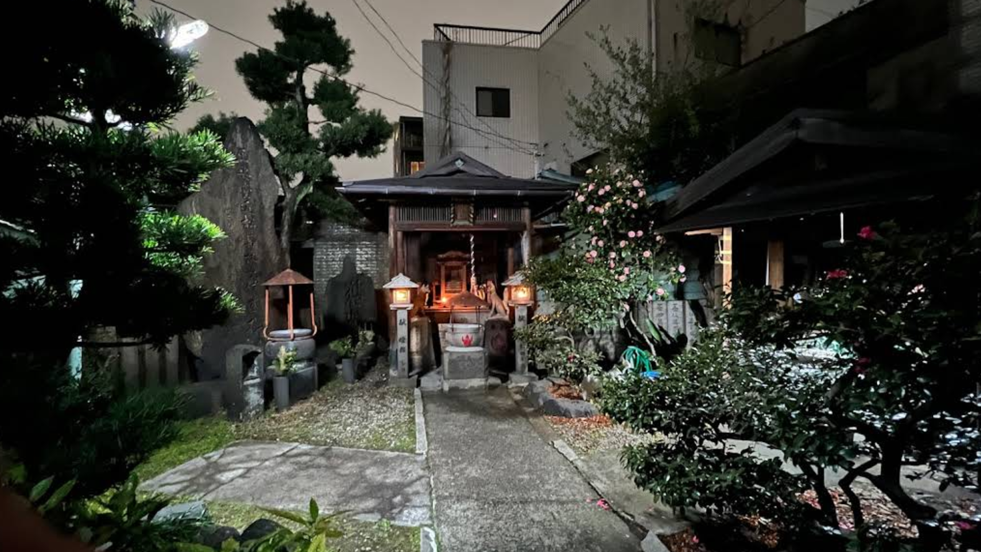 Osaka: Deep Backstreets Walking Tour with Dinner Option