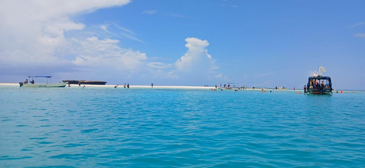 Wasini Island Dolphin Safari & Marine Park Adventure