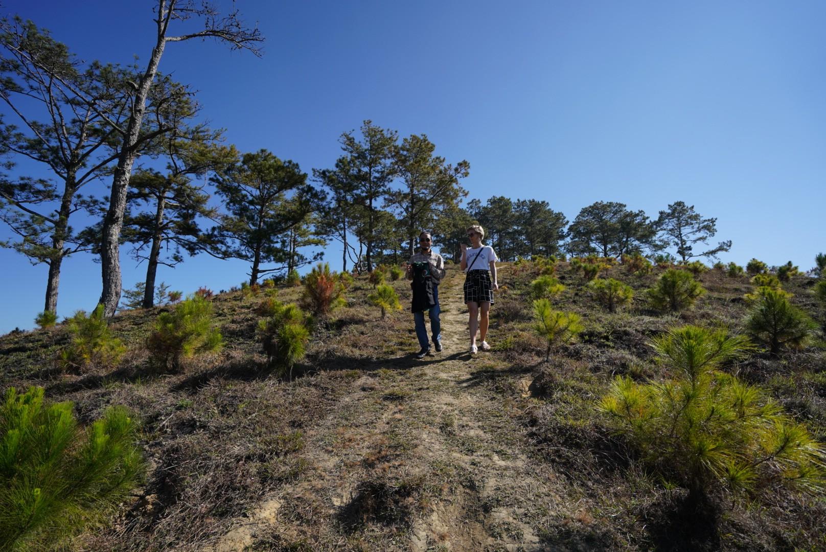 coffee tour in Dalat — Coffee - Wine - Tea Da Lat's Agricultural Treasures Tour - 2026 (Verified Reviews)