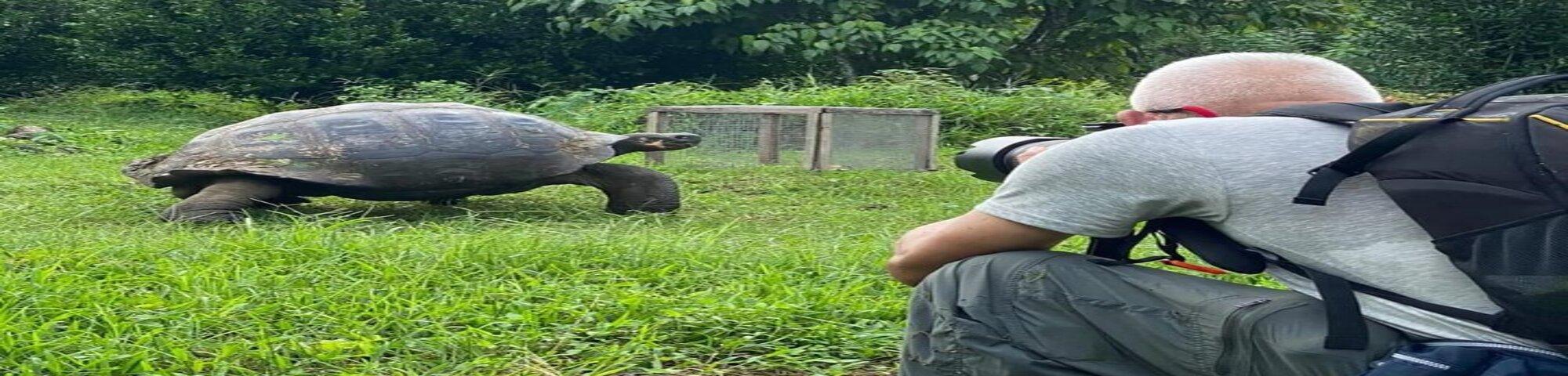 Santa Cruz Giant Tortoises & Lava Tunnels Exploration
