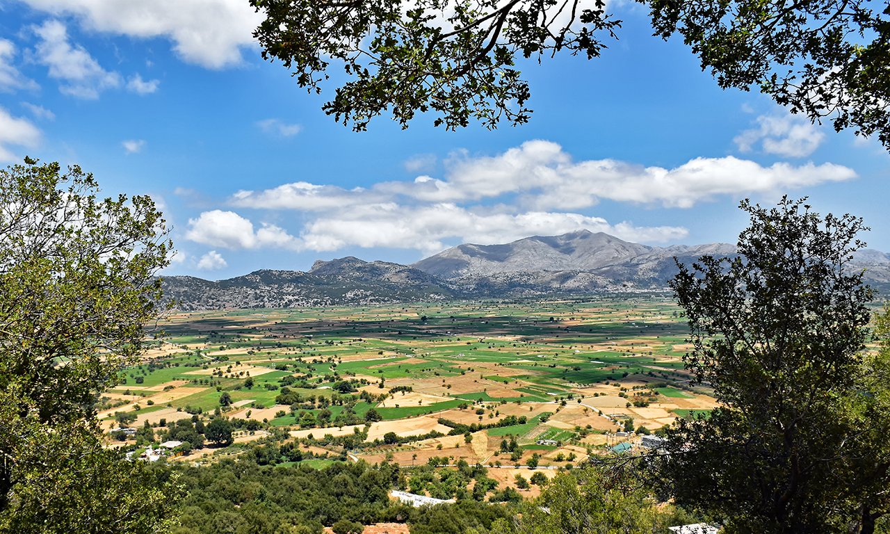 Lasithi Plateau, Zeus Cave & Olive Oil Experience