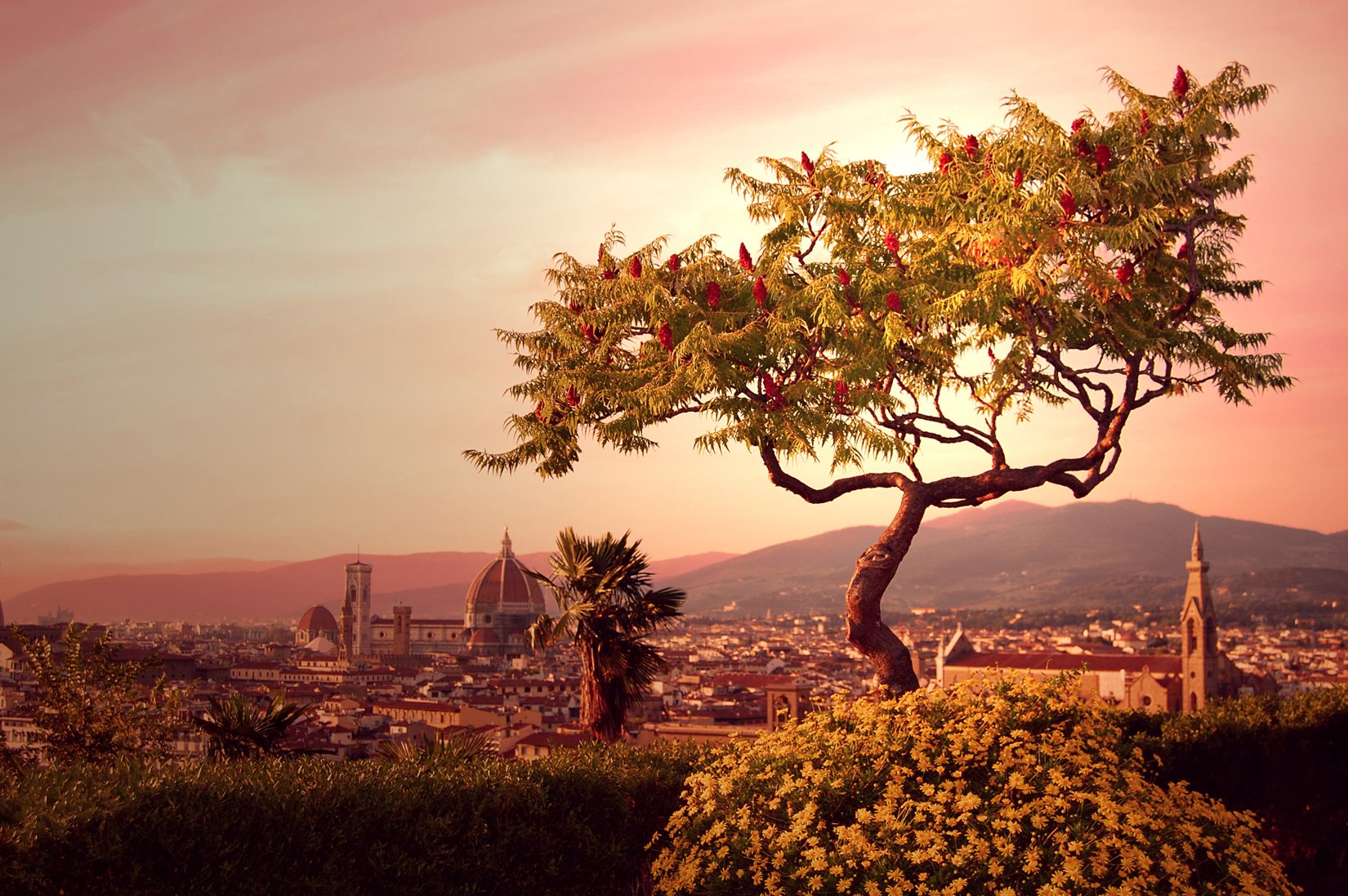 Florence Day Trip from Rome by High-Speed Train