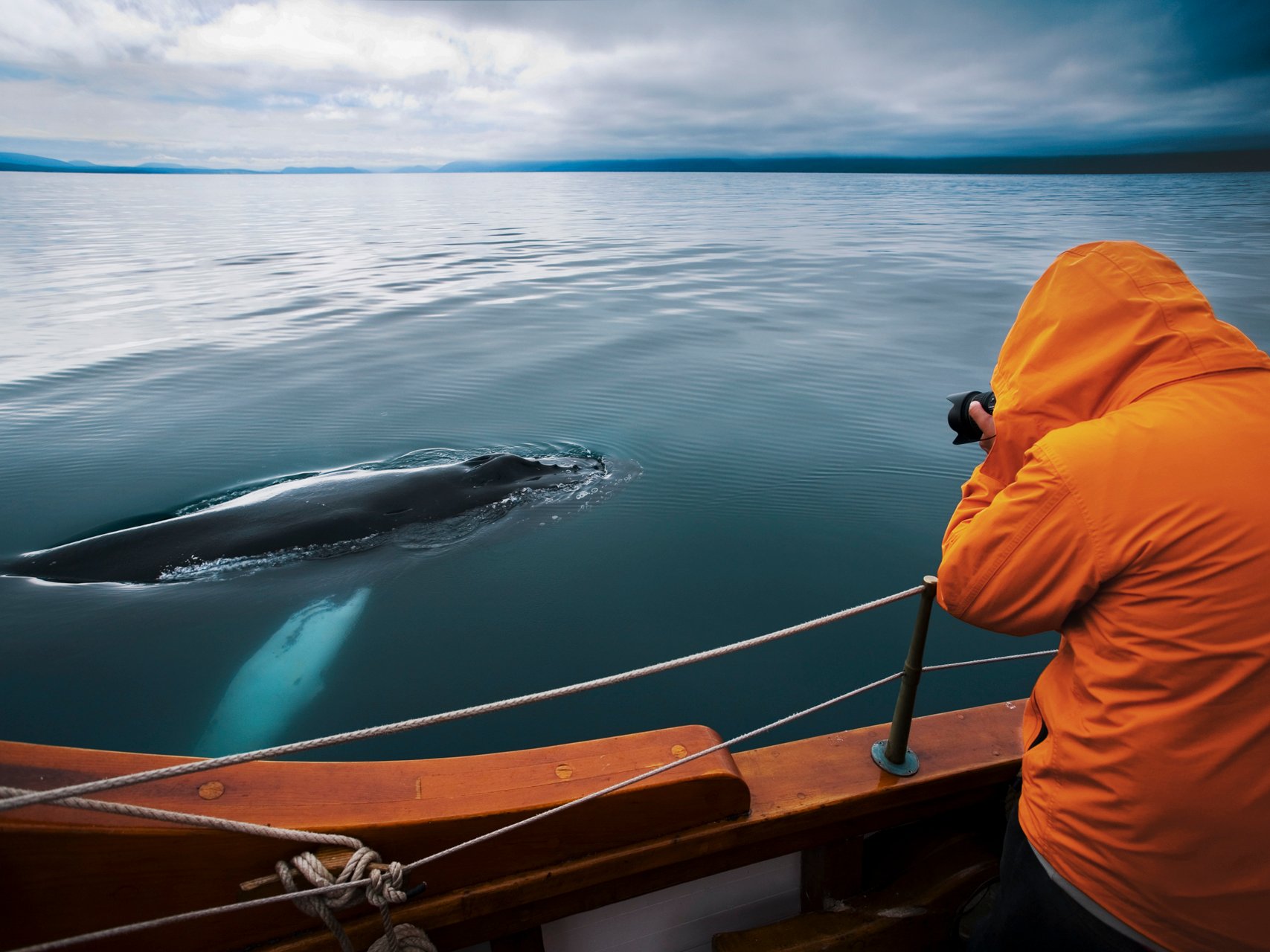 Husavik Eco-Friendly Whale Watching Cruise on a Traditional Oak Boat
