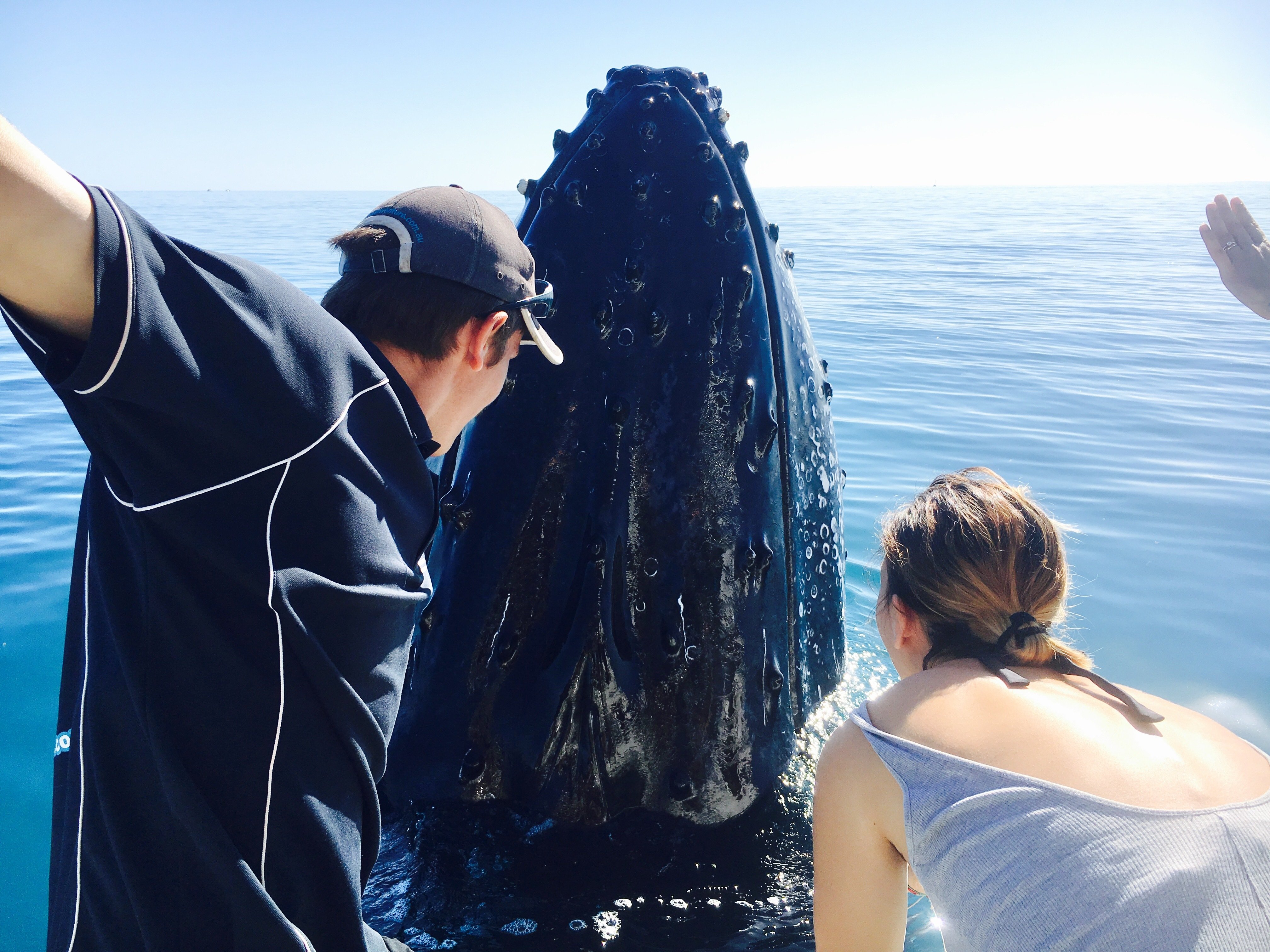 Fraser Island (K'gari): Remote Island and Whale Experience