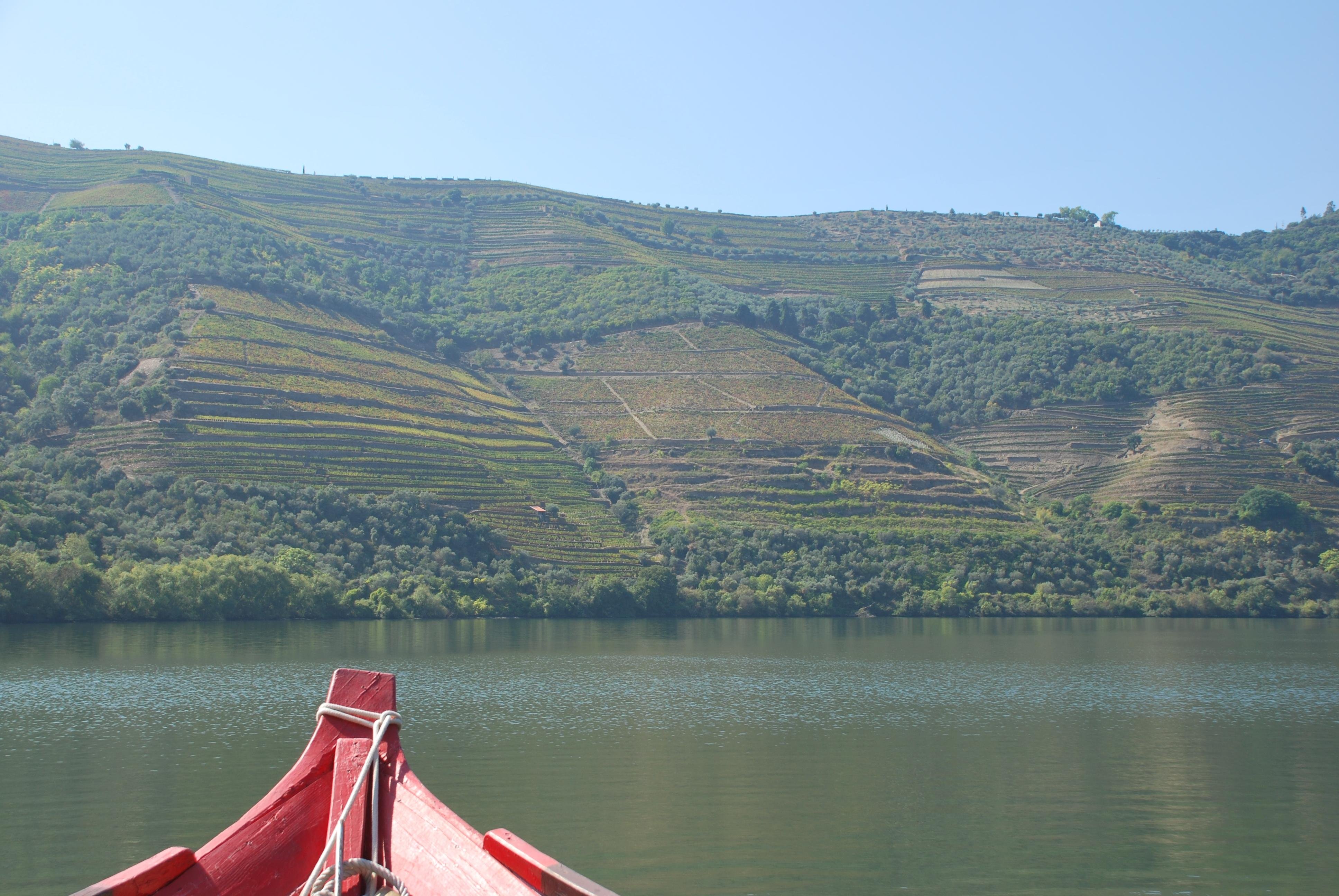 Douro Valley Rabelo Boat Cruise from Pinhão