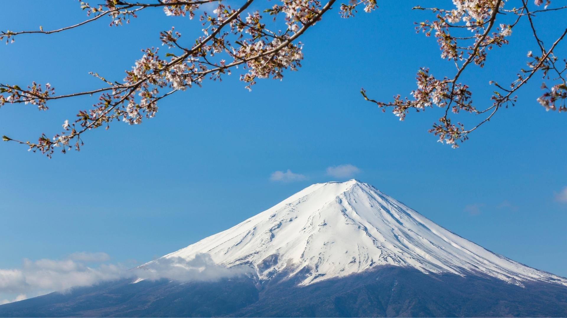 Mt. Fuji Iconic Views & Photography Day Trip from Tokyo