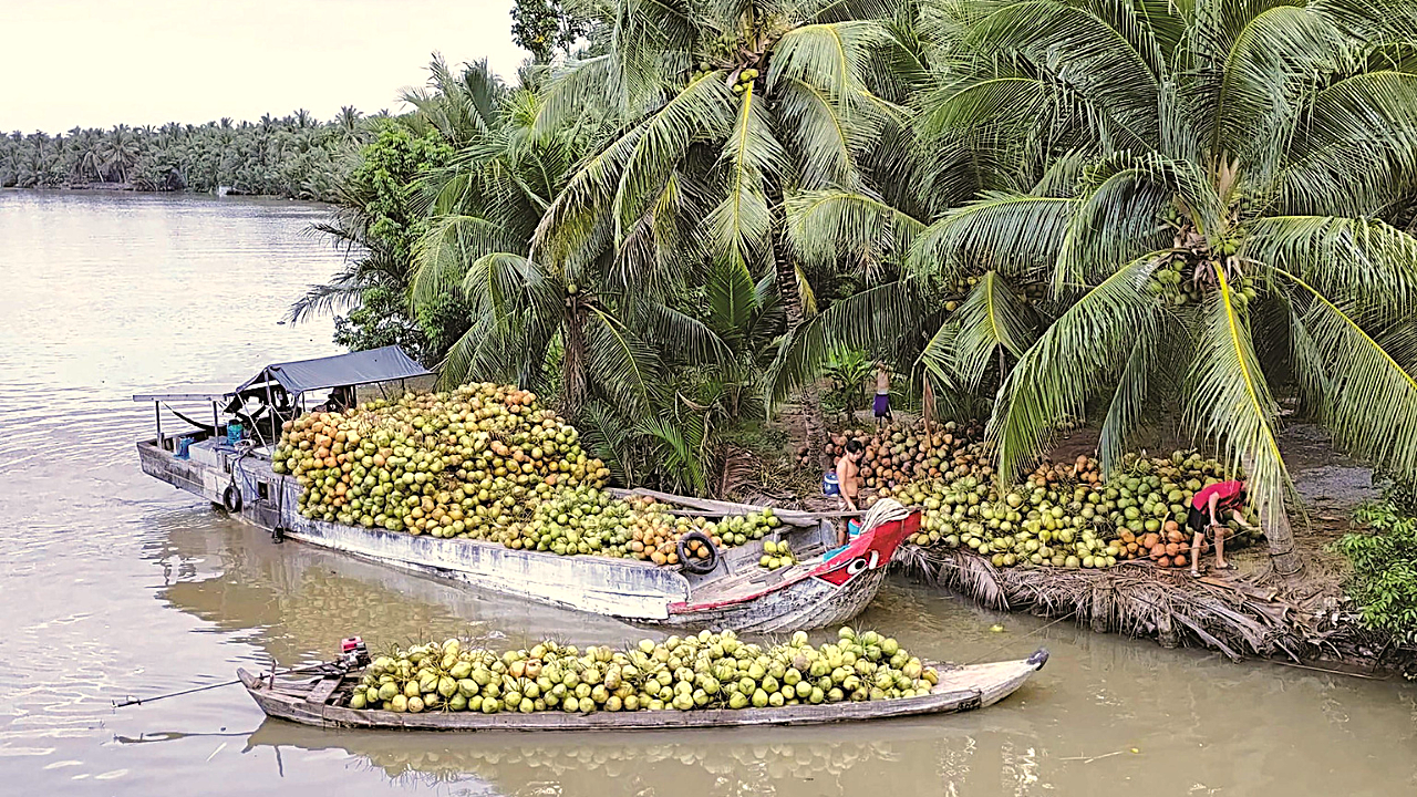 Ben Tre Mekong Delta & Cu Chi Tunnels – Small Group Day Tour (Max 9)