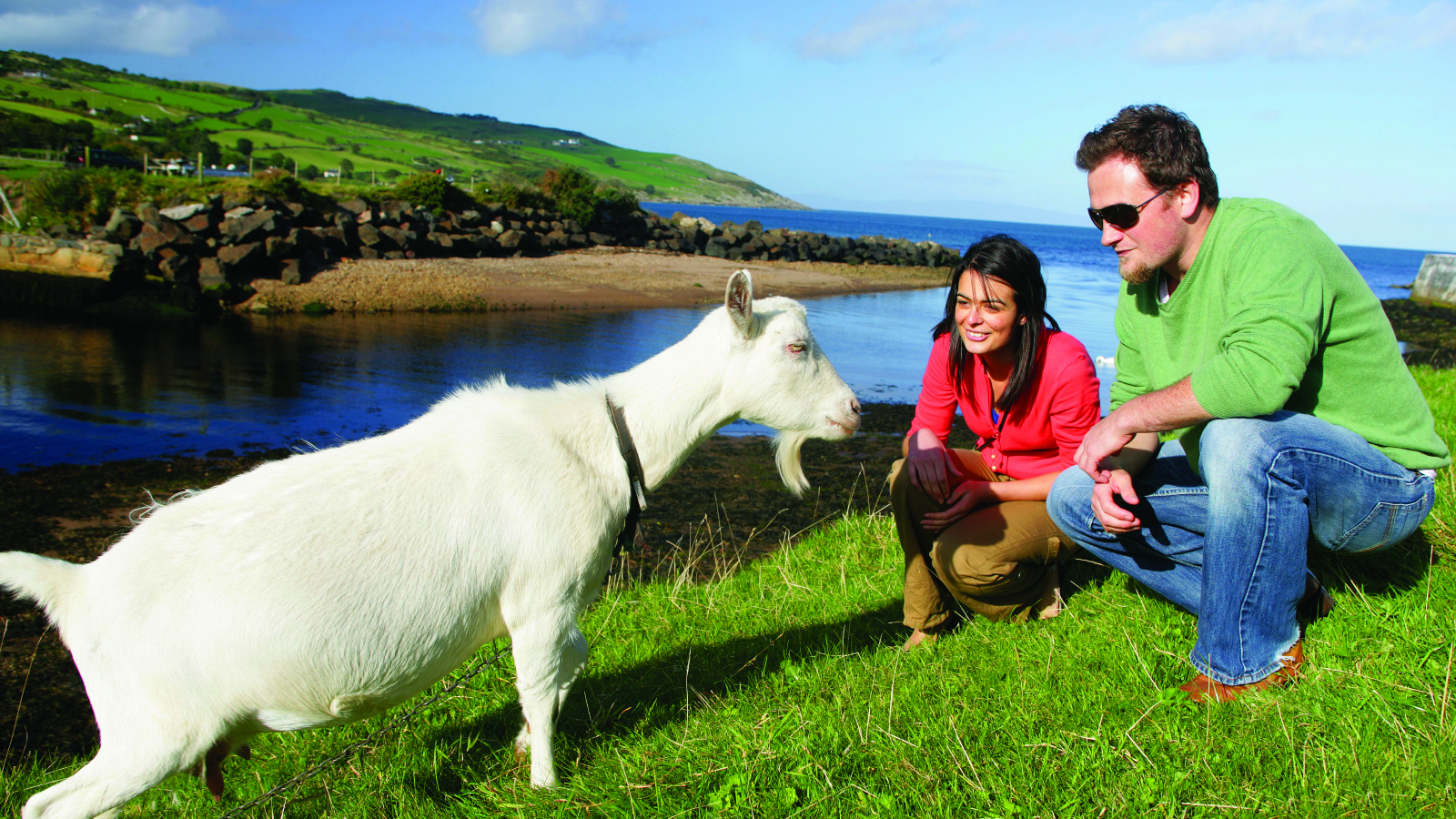 From Belfast: Giant's Causeway, Dunluce Castle & Dark Hedges
