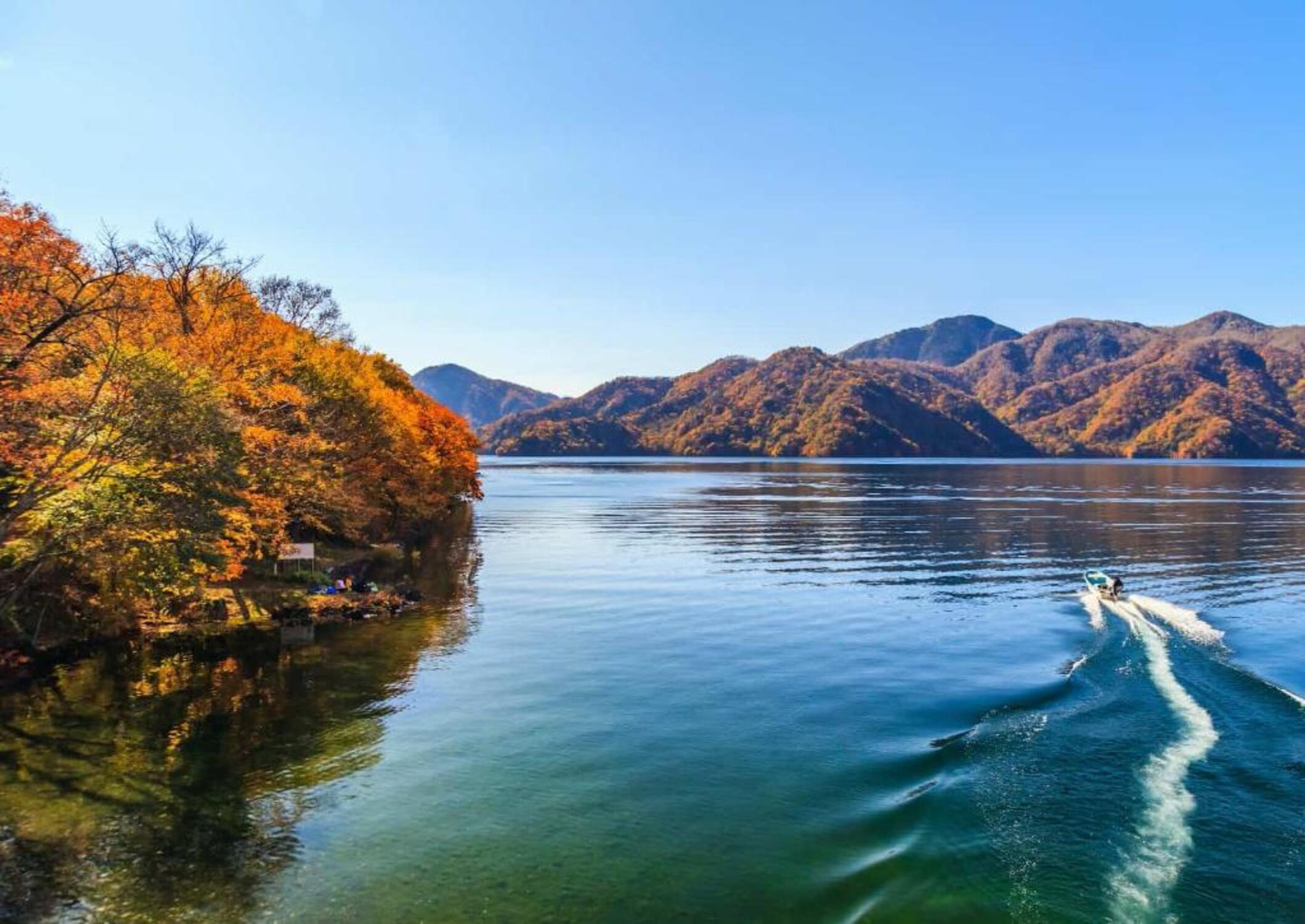 Nikko Private Day Tour from Tokyo with English-Speaking Driver