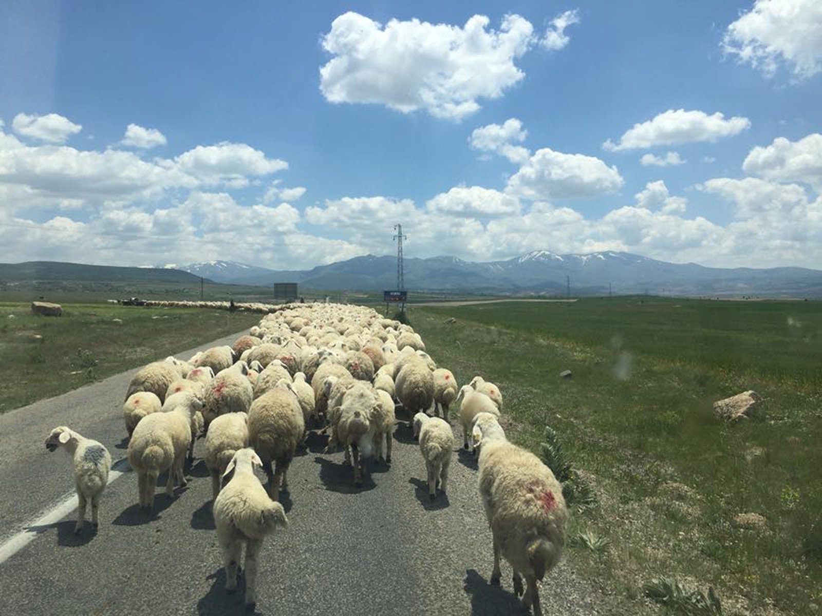 Cappadocia Green Tour: Underground City, Ihlara Valley & Selime Monastery