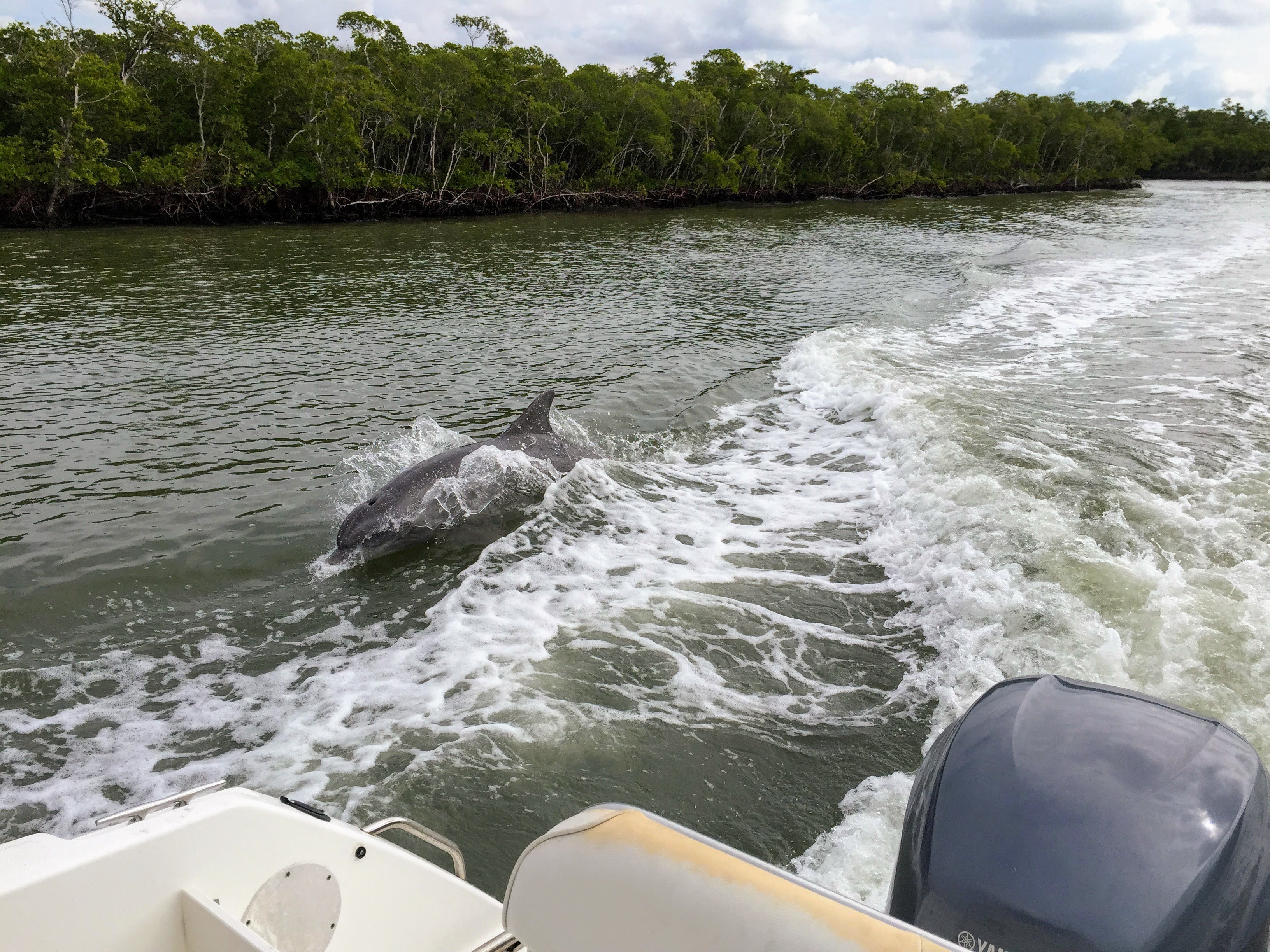 Miami: Everglades Full-Day Tour with 2 Boat Trips and Lunch