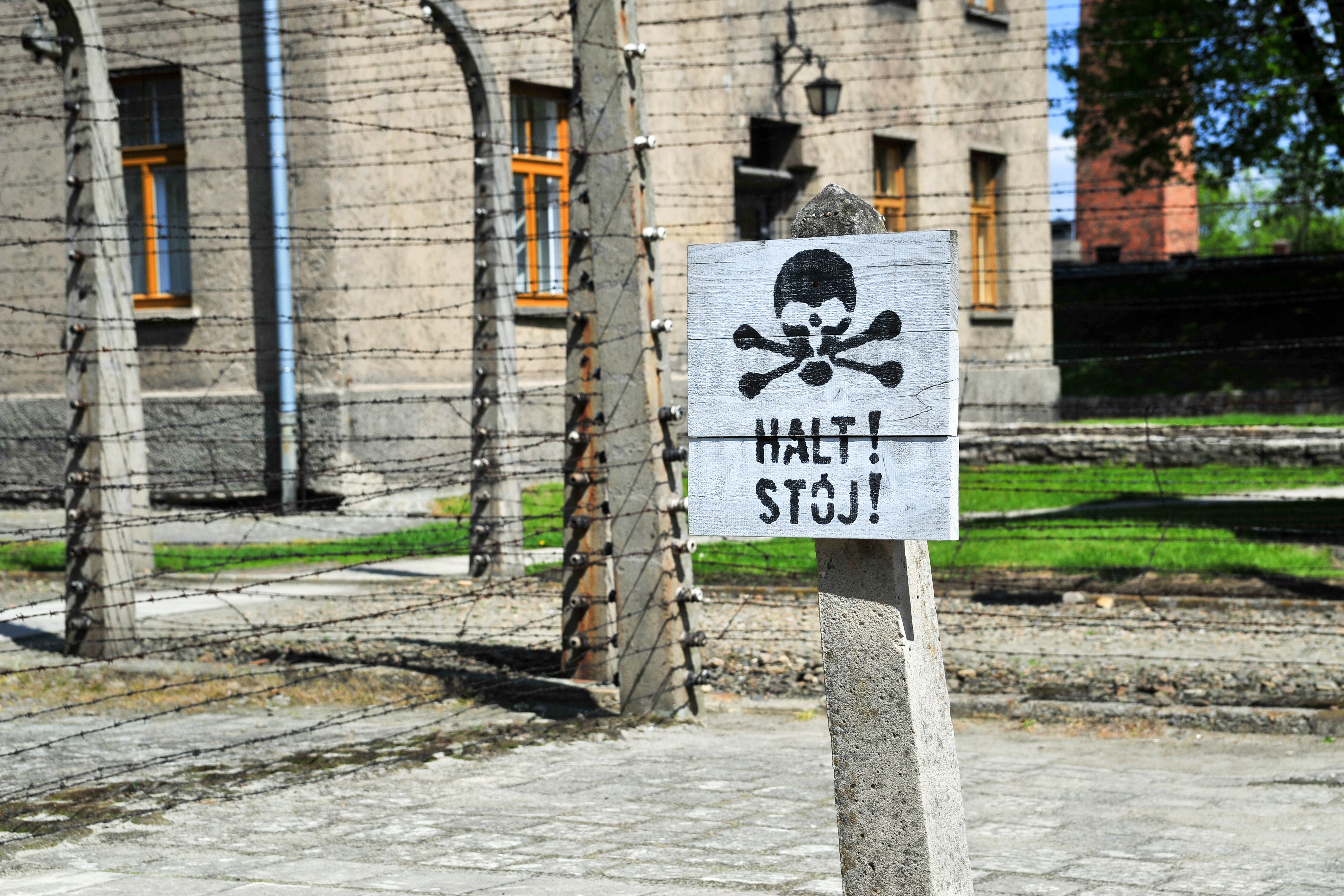 From Krakow: Auschwitz-Birkenau Tour with Transportation - 2026 (Verified Reviews)