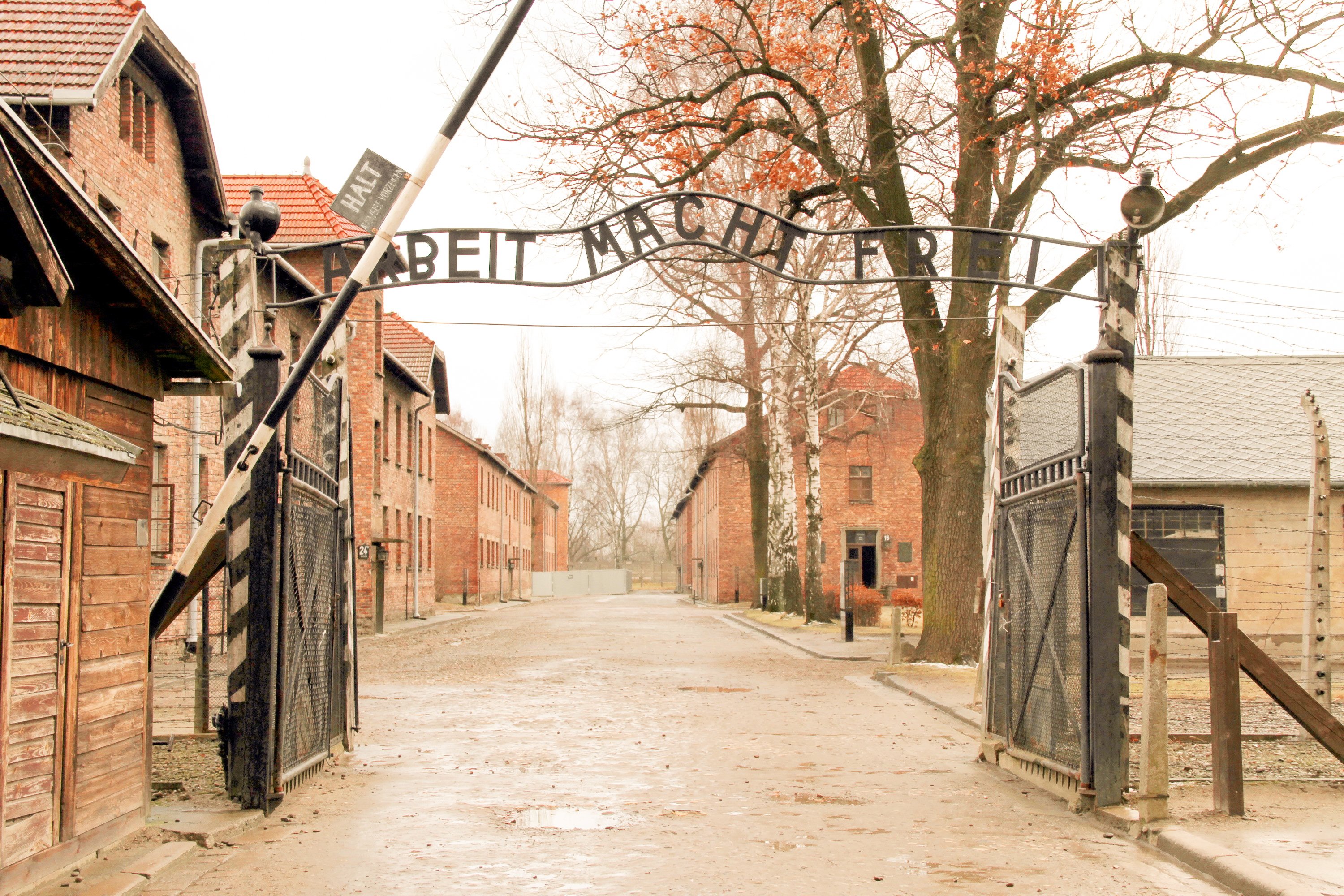 From Krakow: Auschwitz-Birkenau Tour with Transportation - 2026 (Verified Reviews)