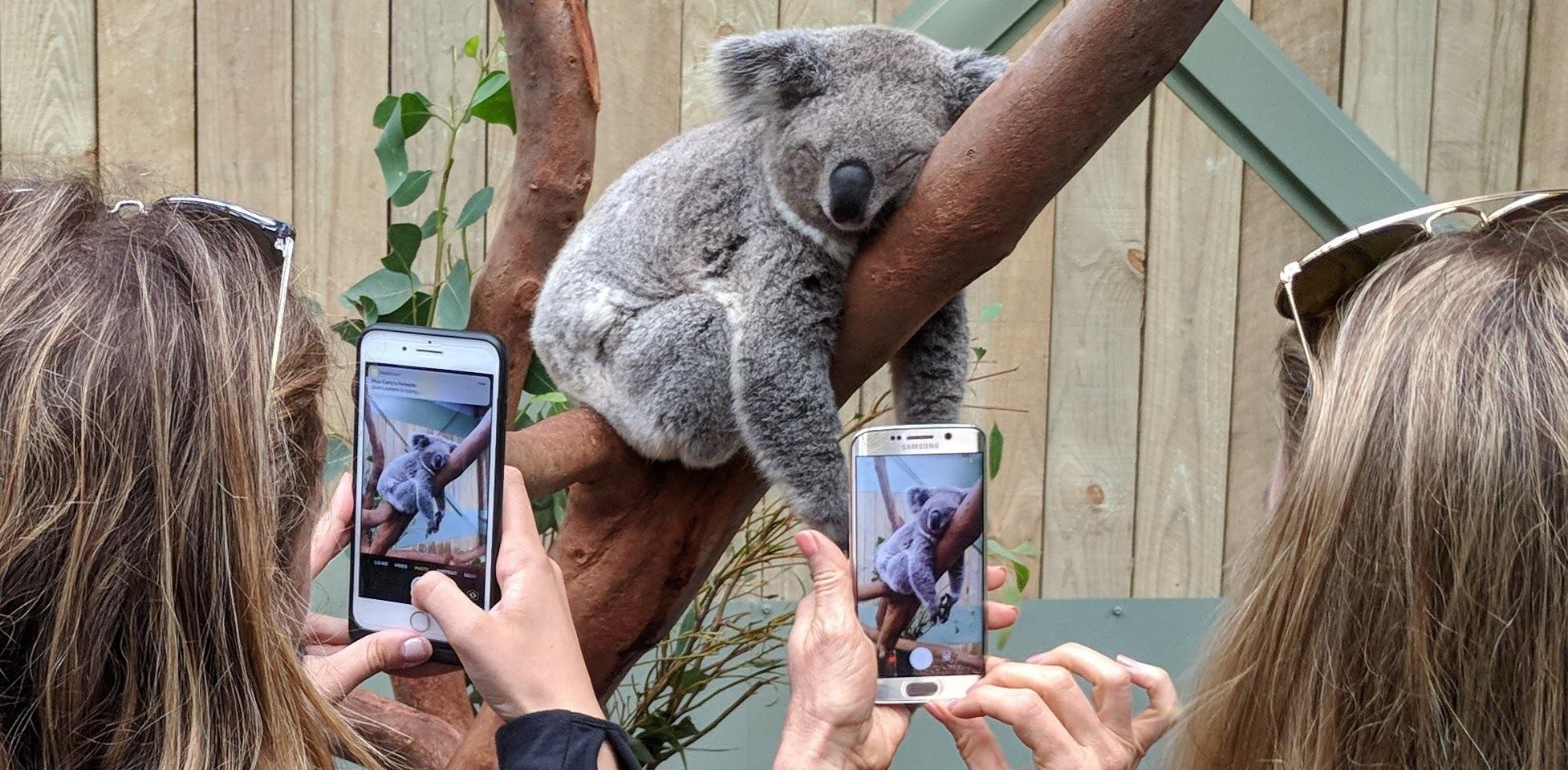 Wildlife, Waterfalls & Wine Discovery Tour